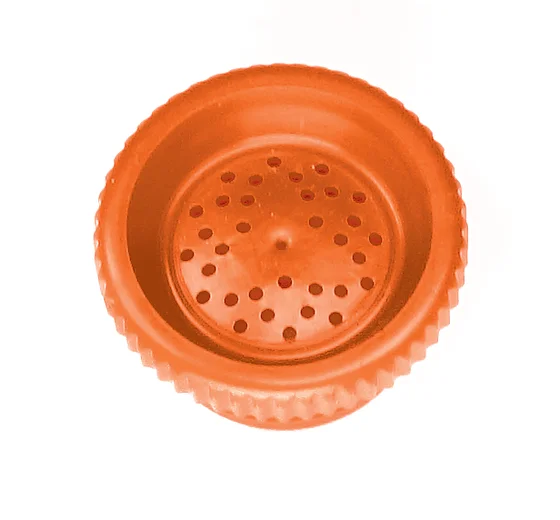 Shower head, insert