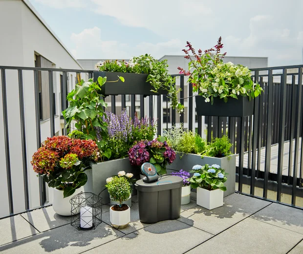 Solution d'arrosage automatique solaire AquaBloom avec réserve d'eau