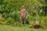 Textilschlauch Liano™ Life 15 m Set