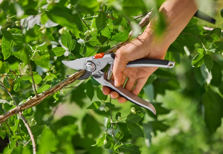 Premium Bypass Secateurs
