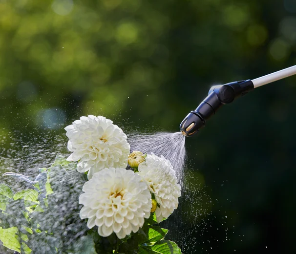 Pulverizador a presión 5 l EasyPump
