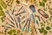 Garden Secateurs B/S-M