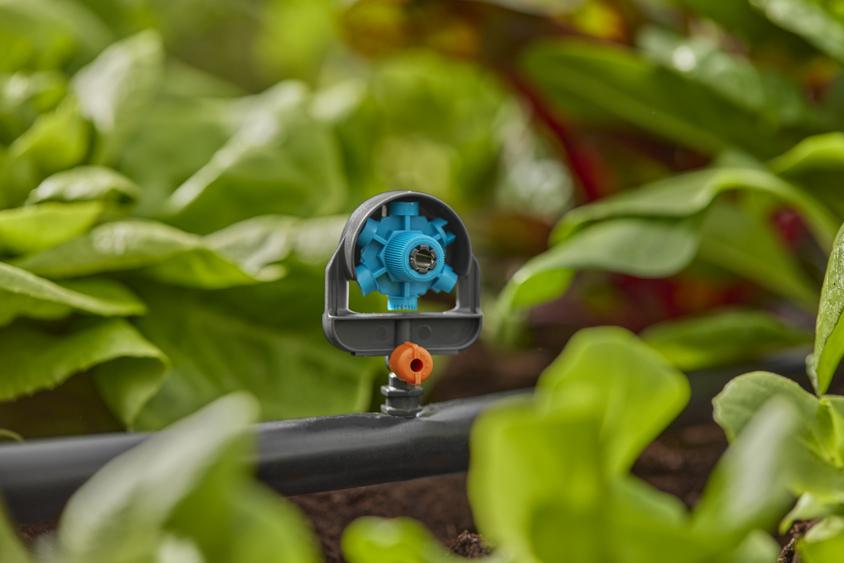 Microspruzzo 6 in 1 a settori regolabili