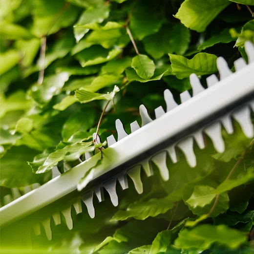 Akumulatorowe nożyce do żywopłotu EasyCut 55/18V – zestaw, Nożyce do żywopłotu