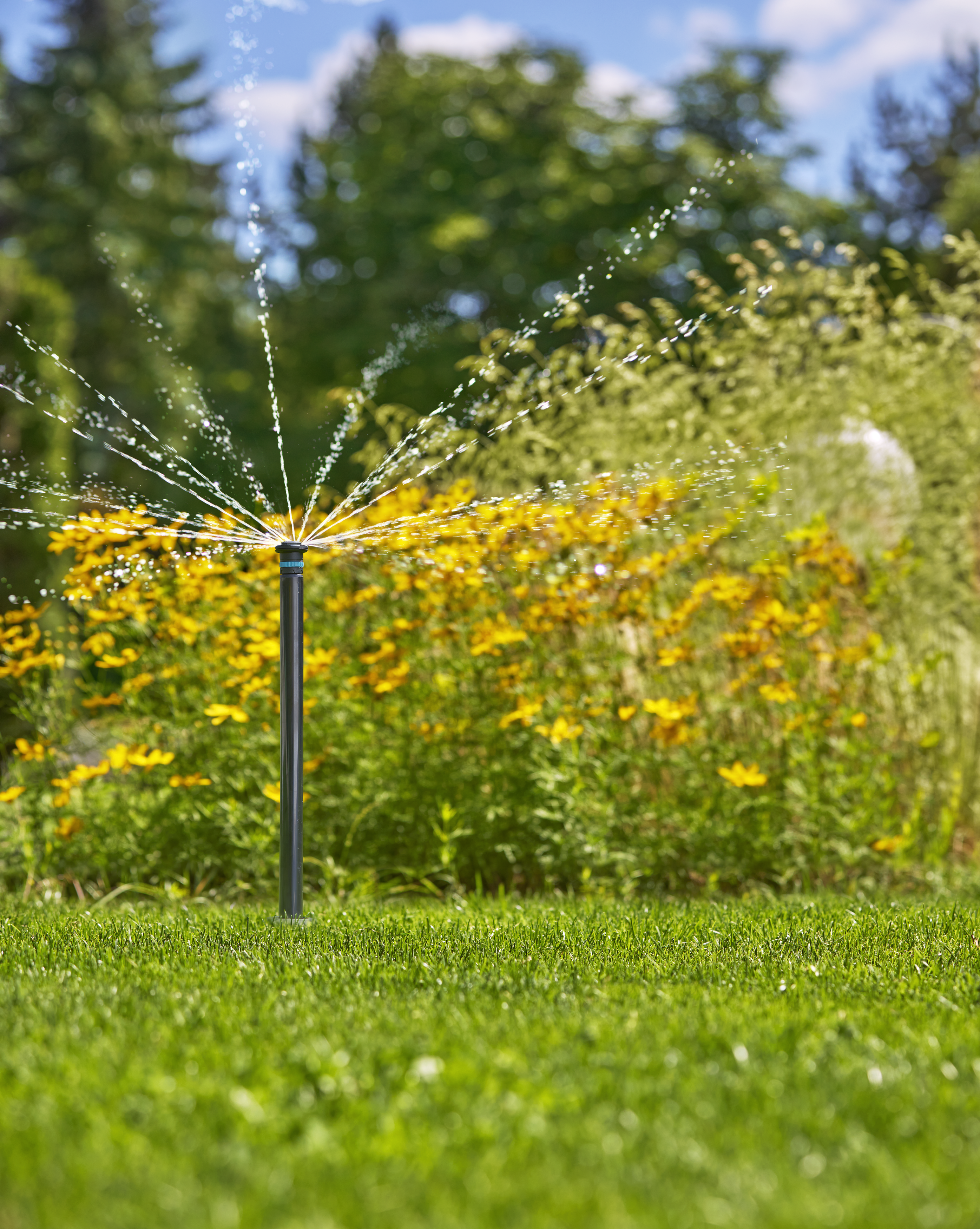 Pop-up Sprinkler MD40/300
