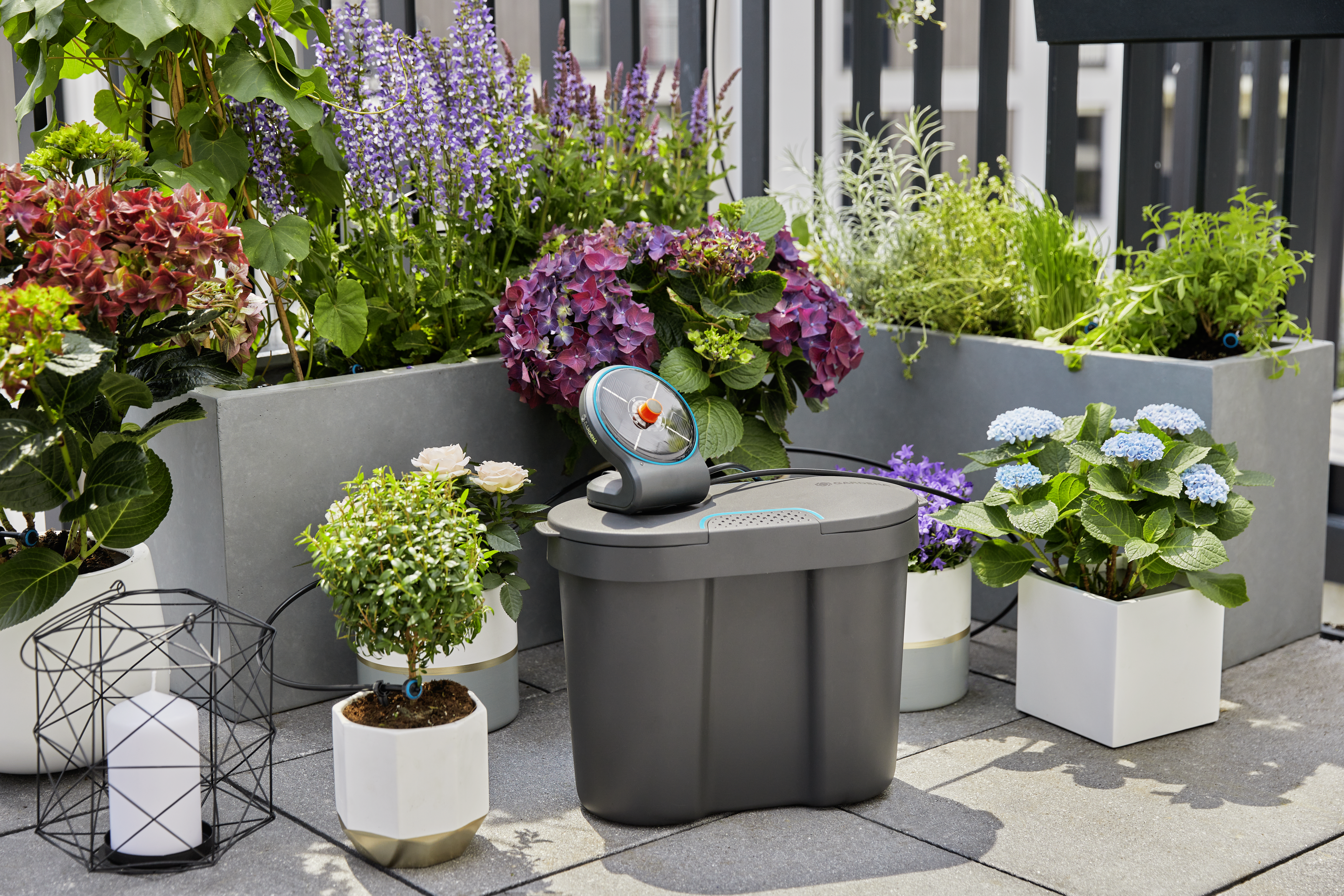 Set Aquabloom con dep&oacute;sito