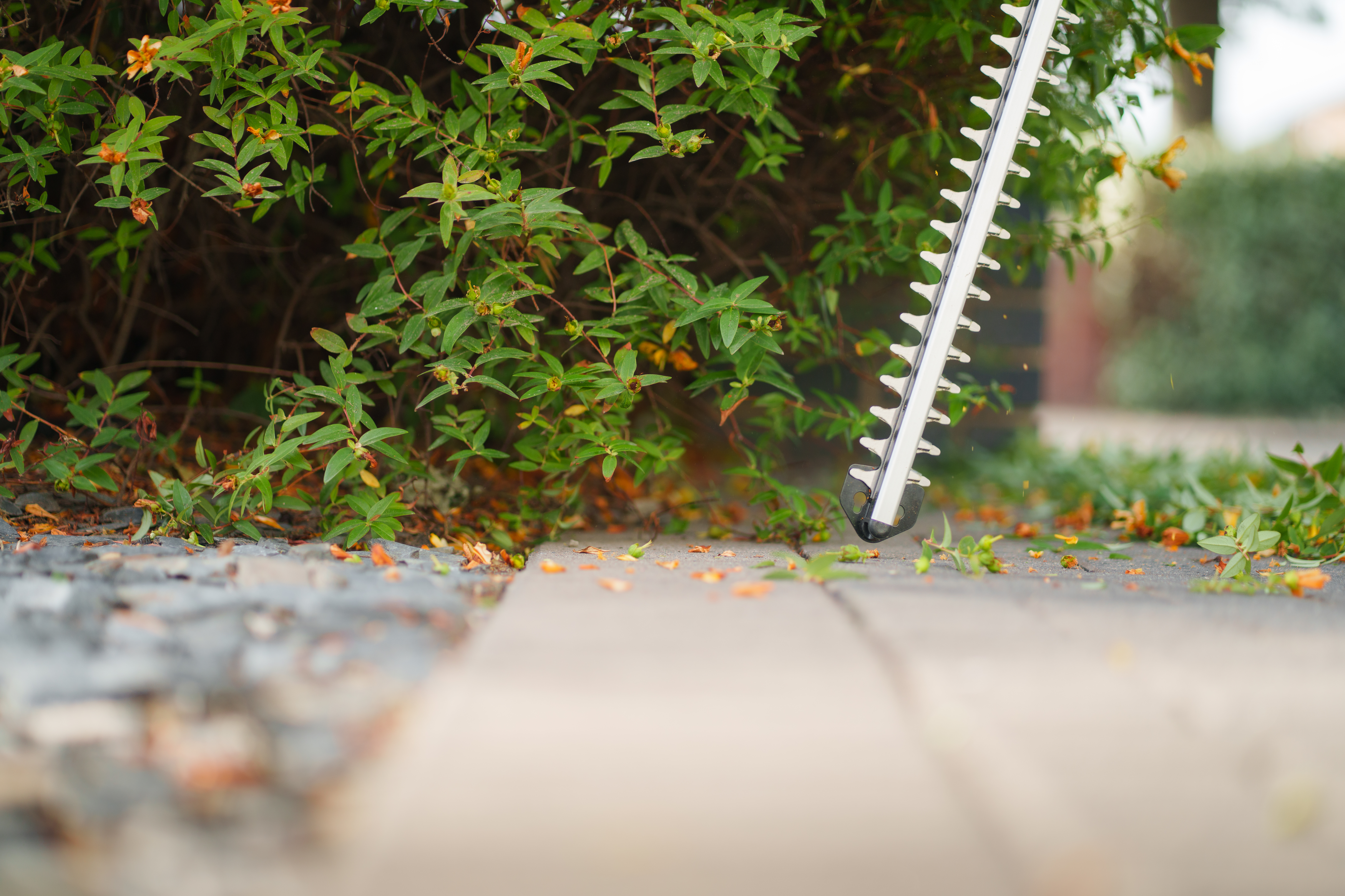 18V SimpliCut 550 (Solo - without battery and Charger)