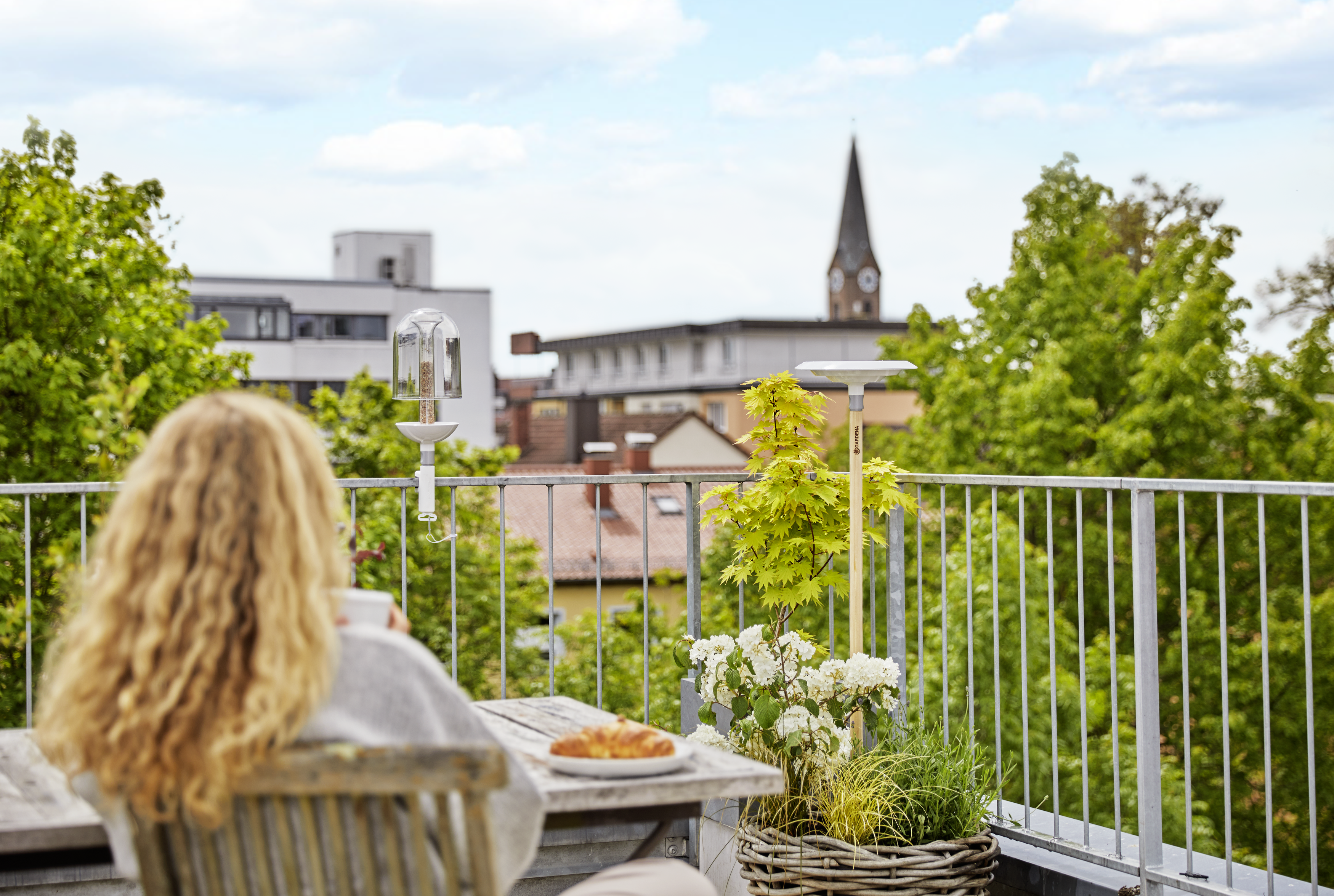 ClickUp! Ptičja kopel