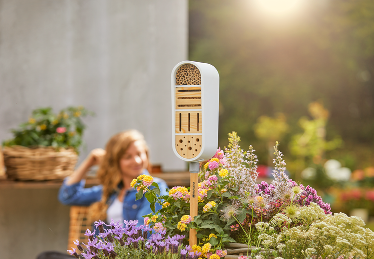 ClickUp! InsectHotel