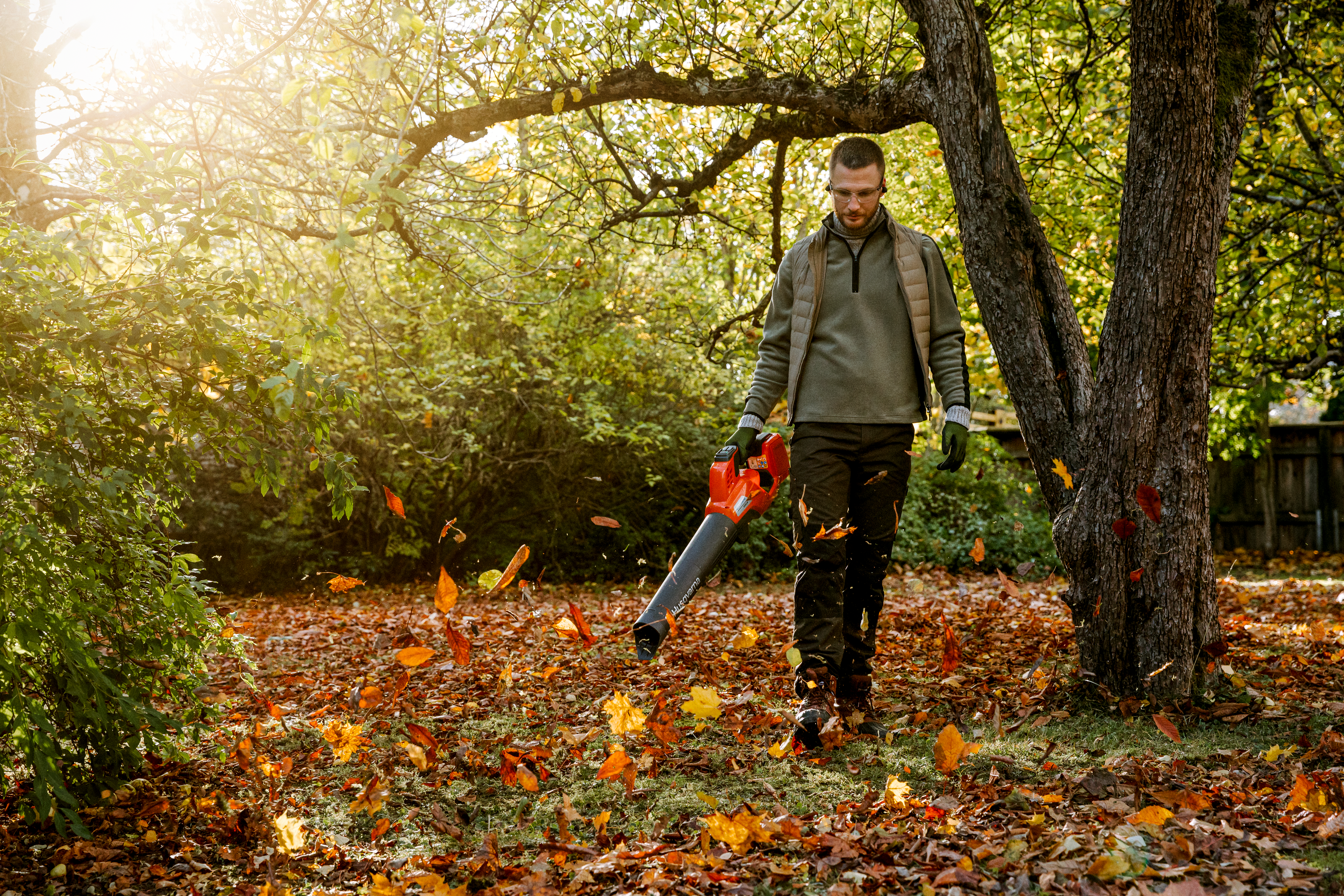 Stepless speed control