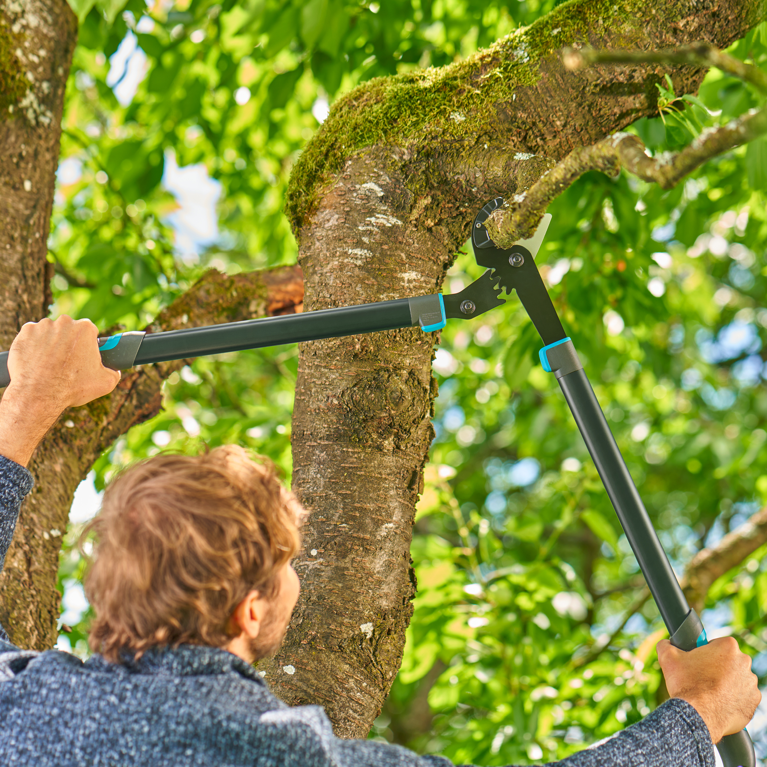 Astschere EnergyCut Pro L, Amboss-Schnitt, f&uuml;r trockenes Holz