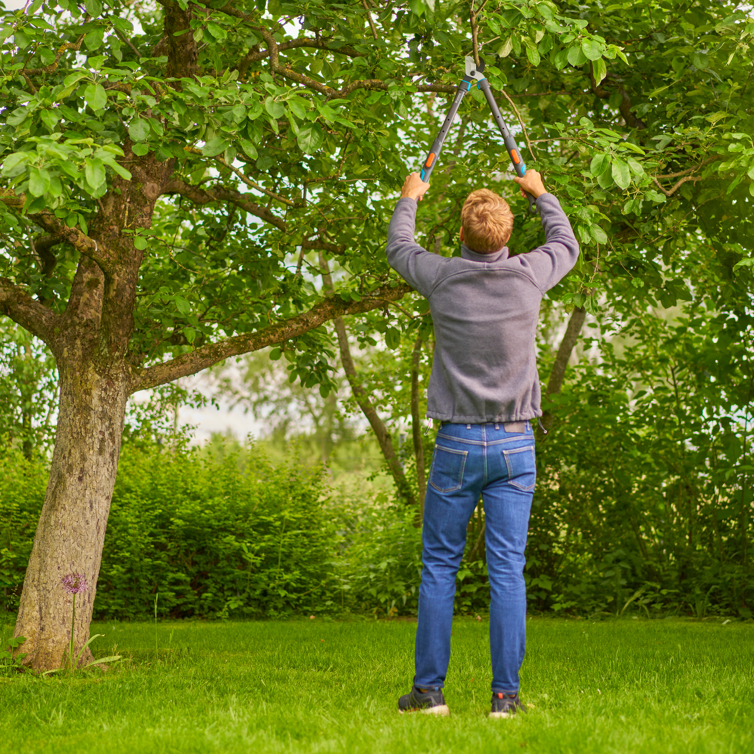 Troncarami Telescopico TeleCut Pro S, per Rami Freschi