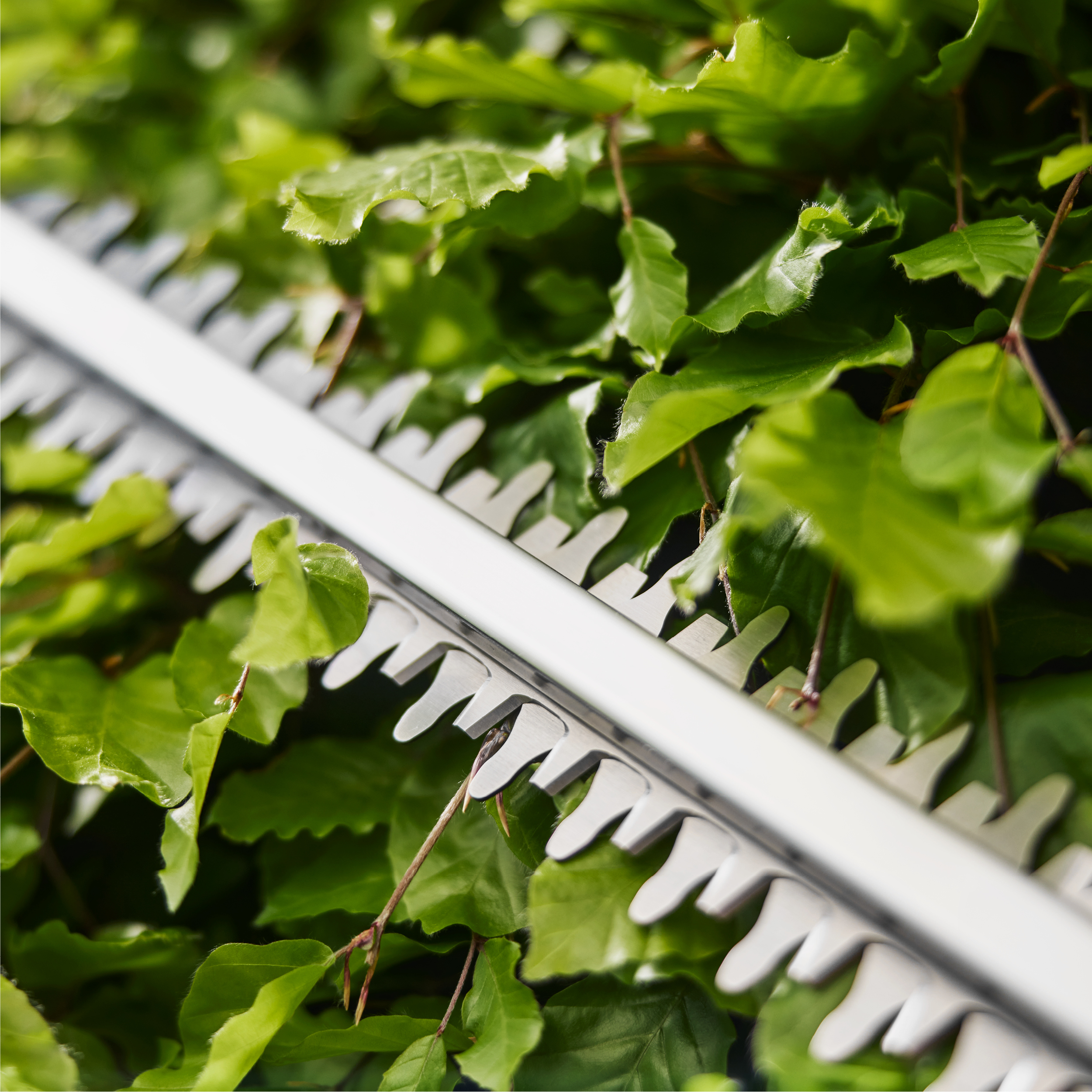 Akku-Heckenschere EasyCut 45/18V P4A solo, Akku-Heckenschere