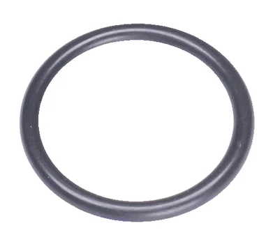 O-Ring 22x2,5