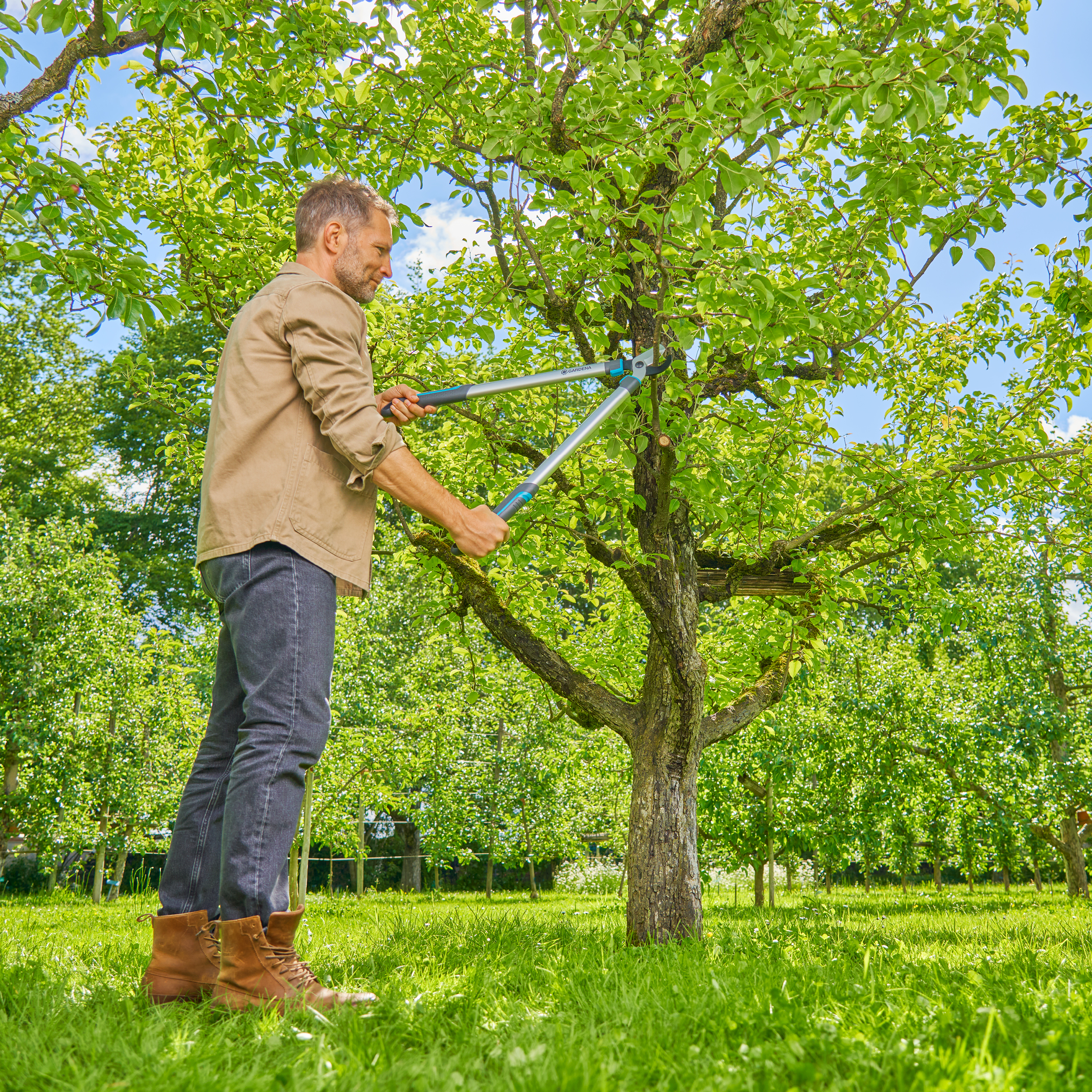 Coupe-branches EasyCut L