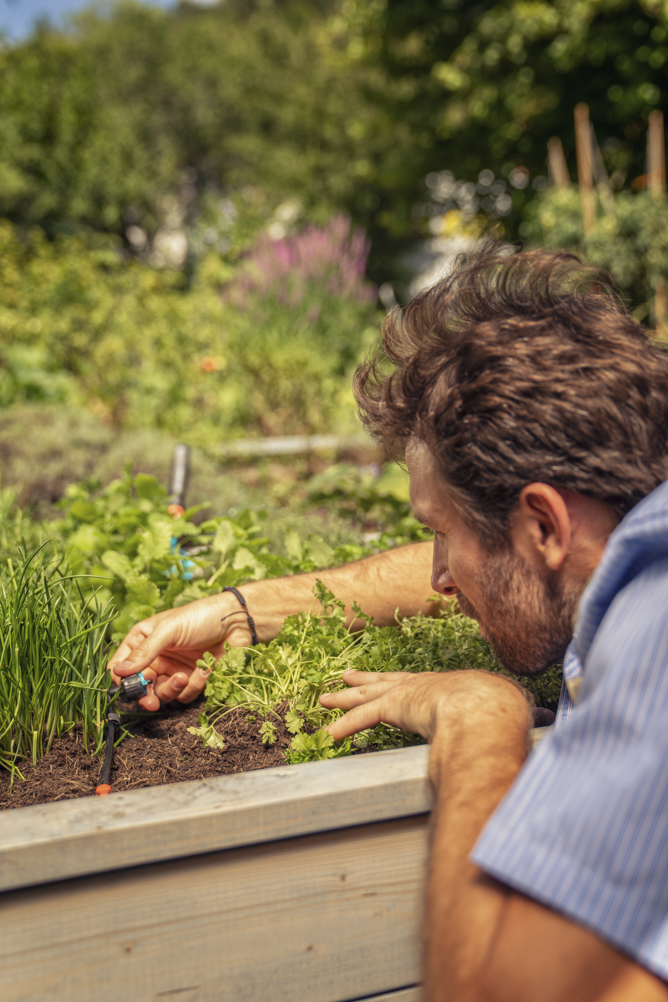 Regulovateľn&yacute; radov&yacute; kvapkač