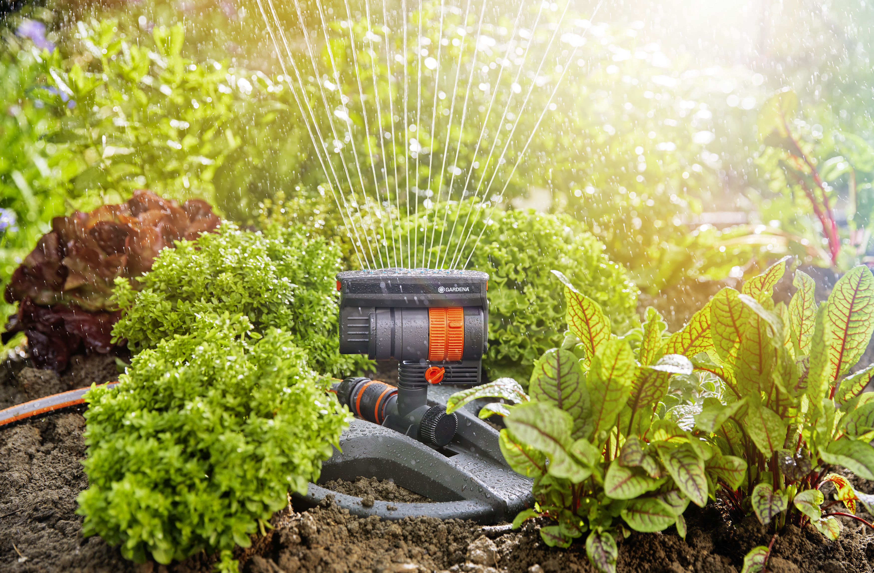 Oscilirajući raspr&scaron;ivač AquaZoom compact