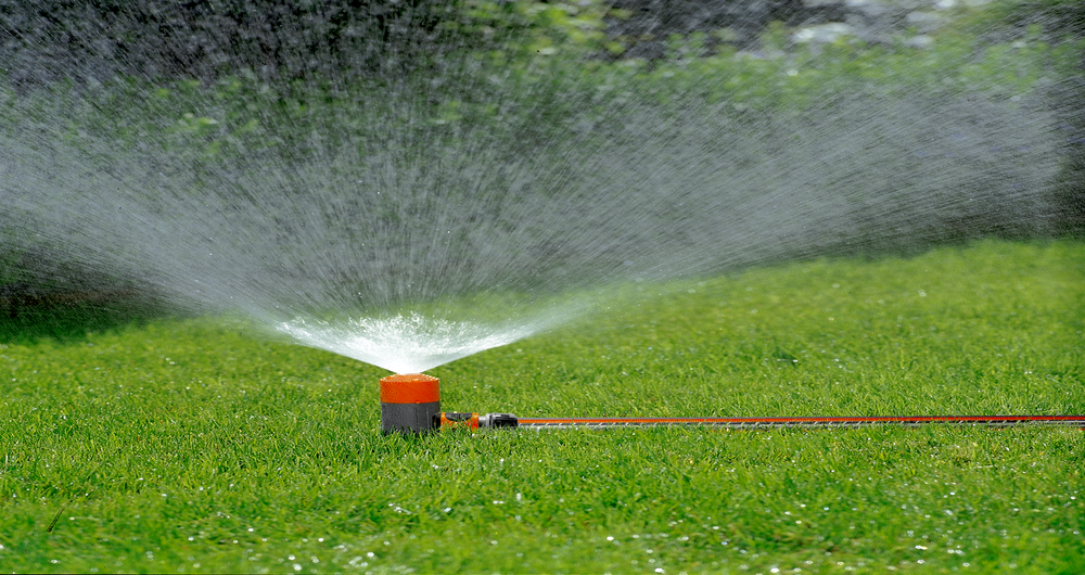 Classic Spray Sprinkler Fox