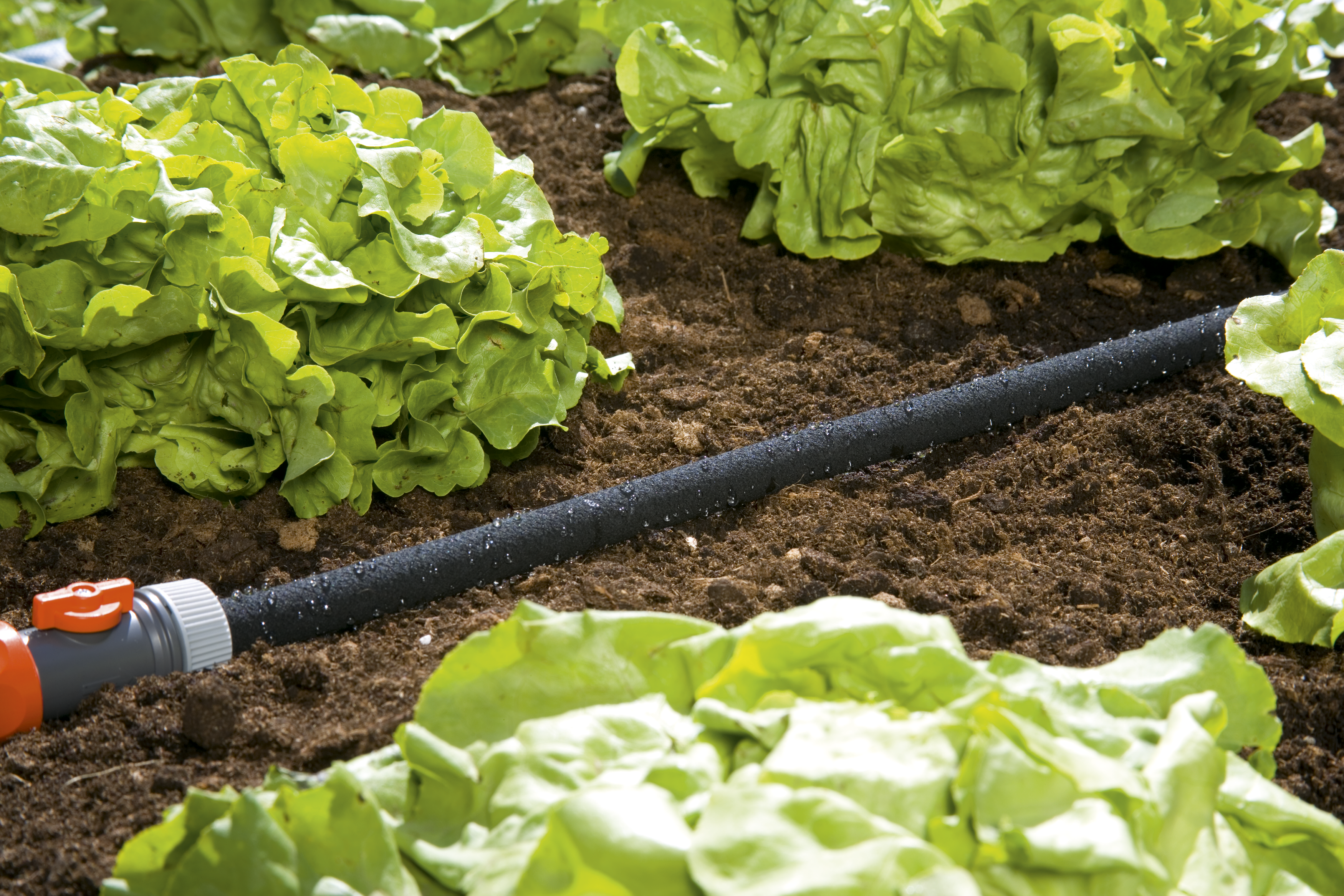 Tuyau d'arrosage micro-poreux - 15 m