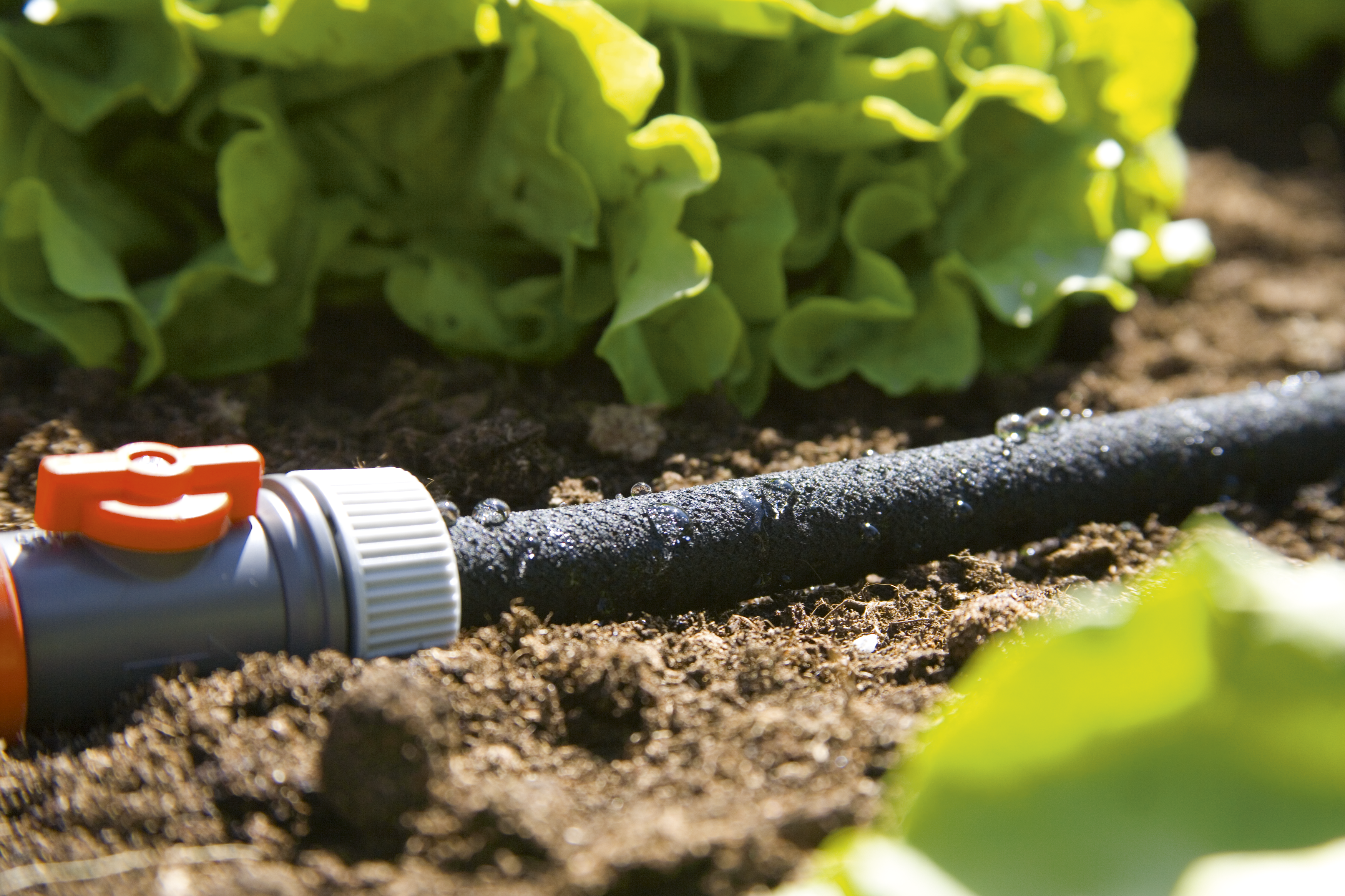 Průsakov&yacute; zavlažovač, d&eacute;lka 7,5 m