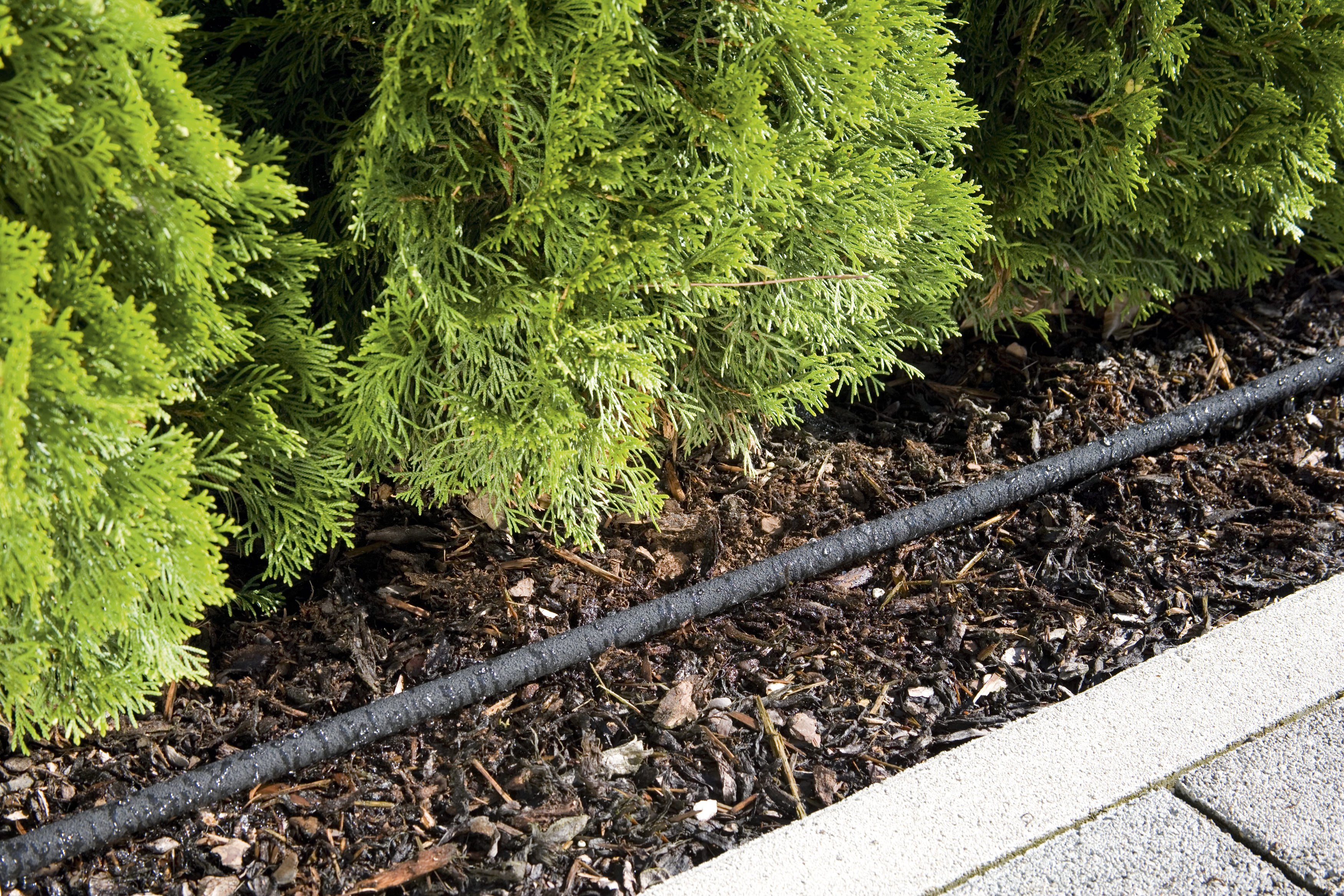 Soaker Hose 15 + 5 m Display