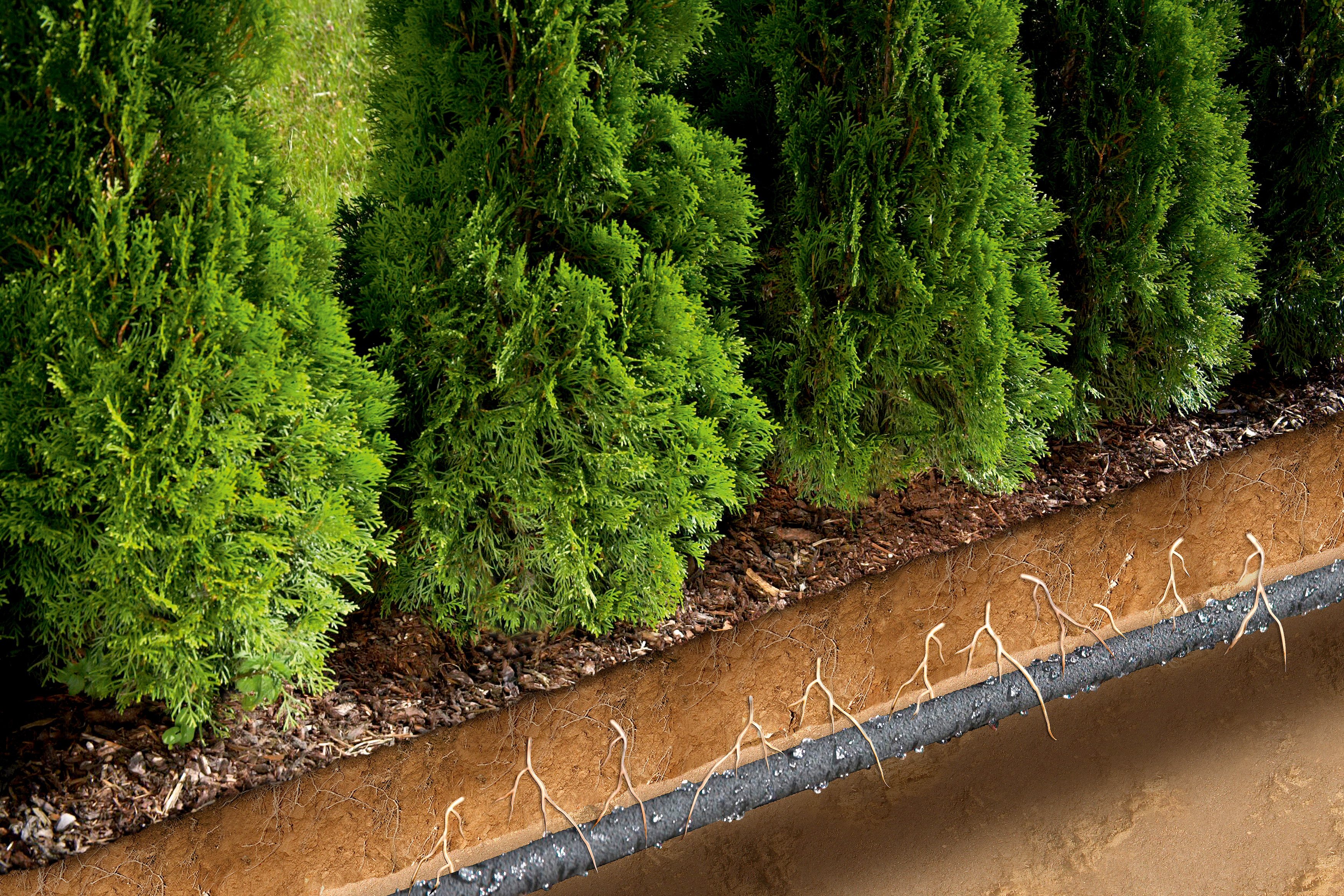 Tuyau d'arrosage micro-poreux - 15 m