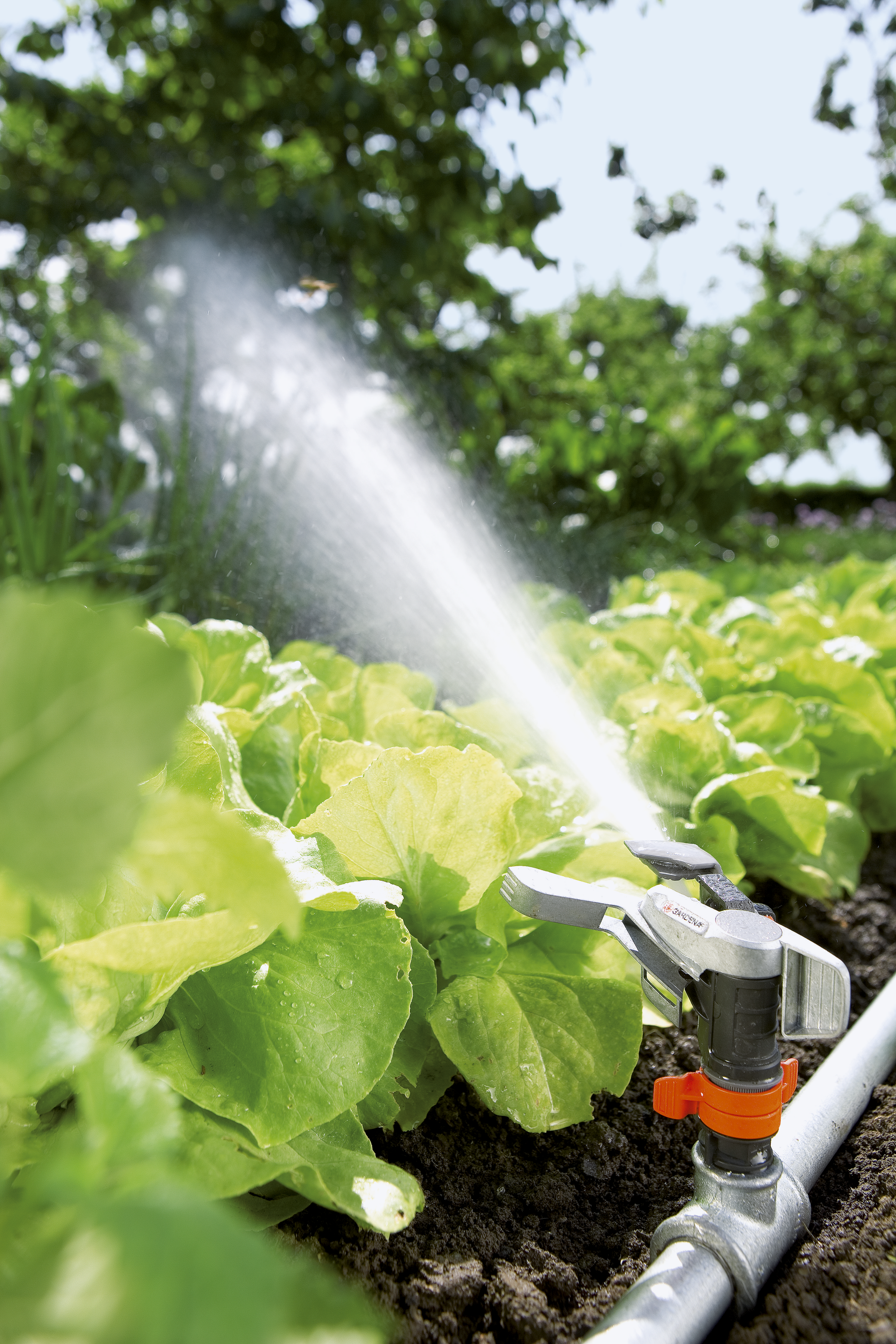 Cap pulsator de aspersor parţial sau total circular Premium