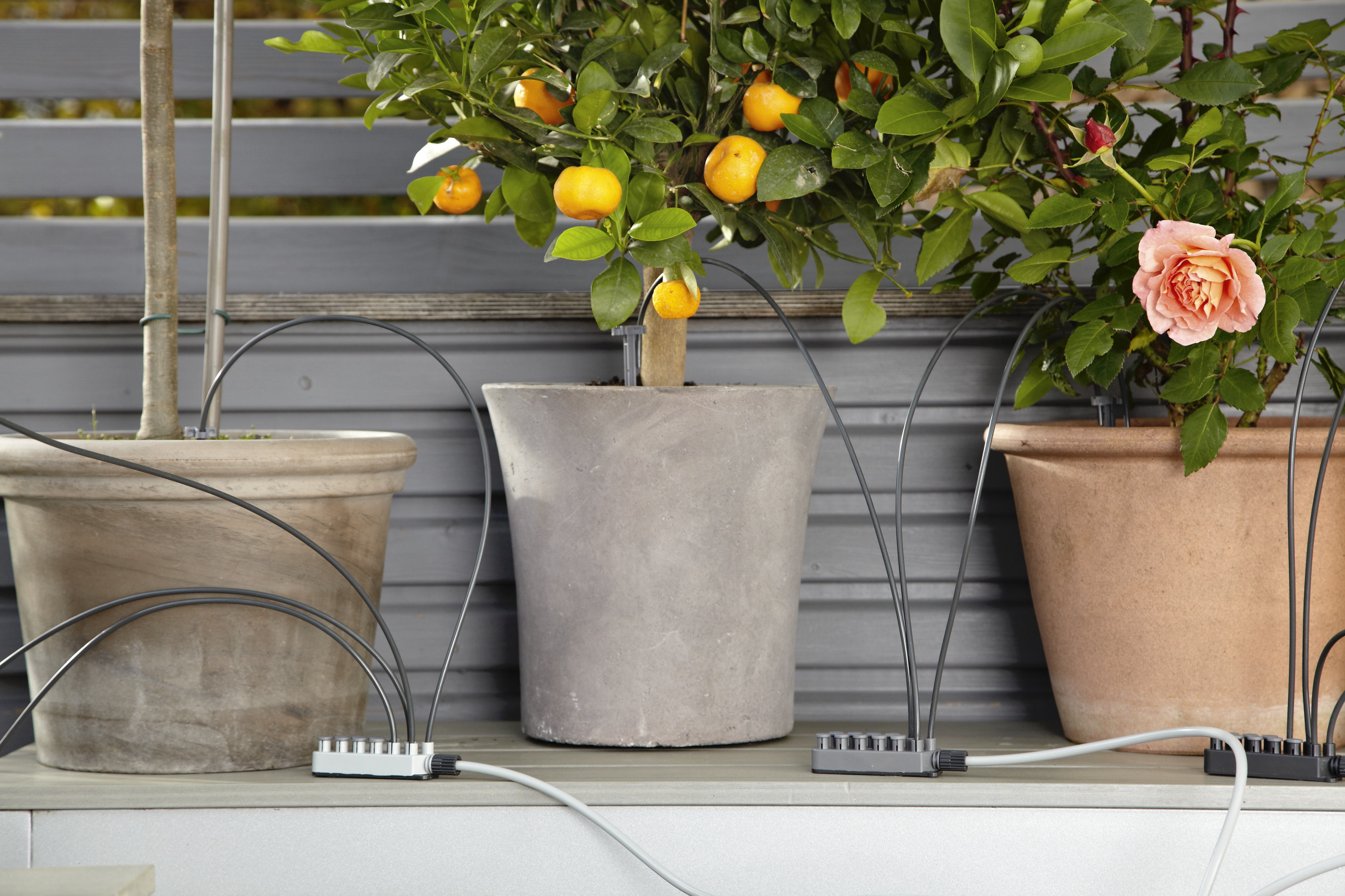 Arrosage des plantes en votre absence