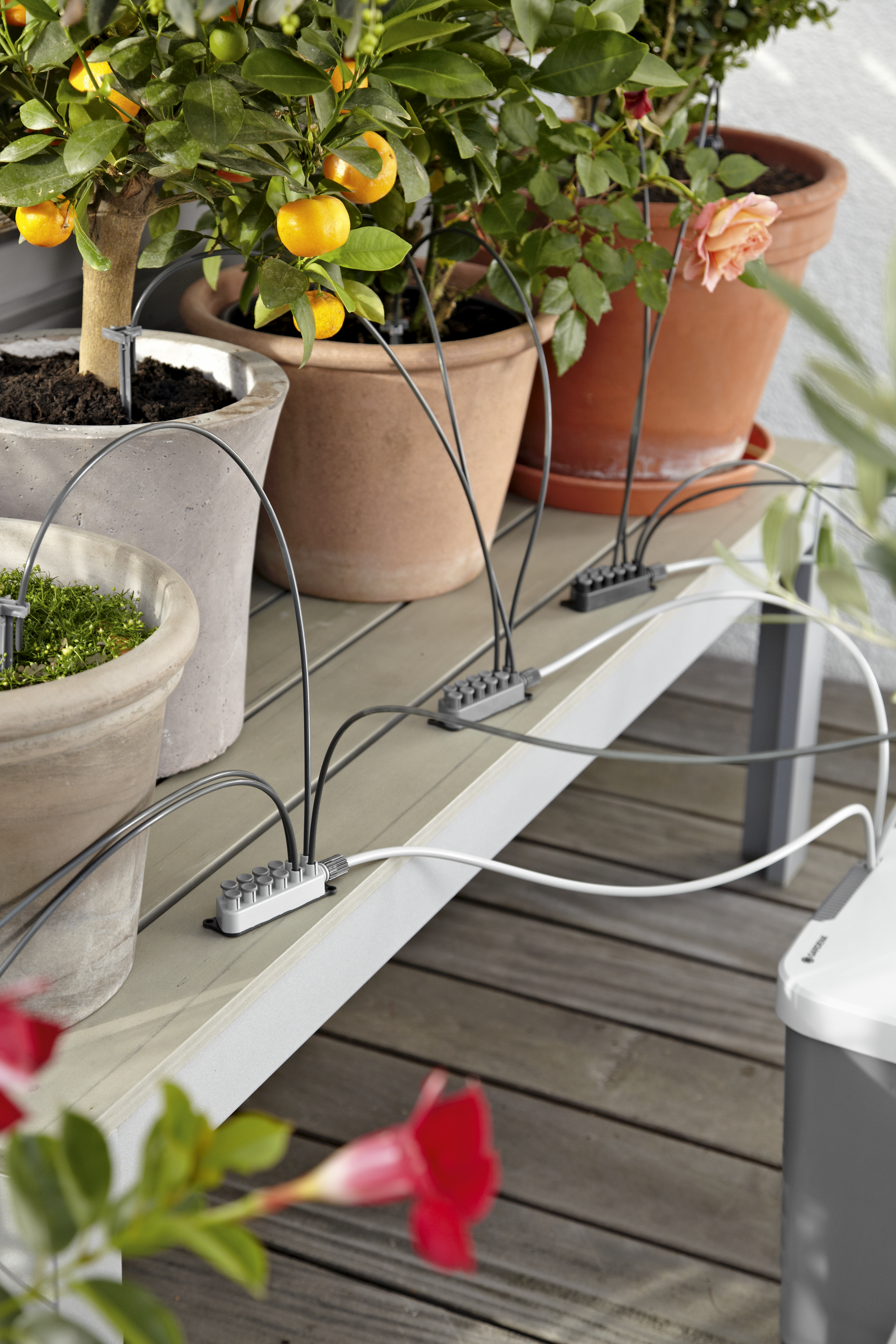 Set pentru udat pe durata concediului + container de 9l