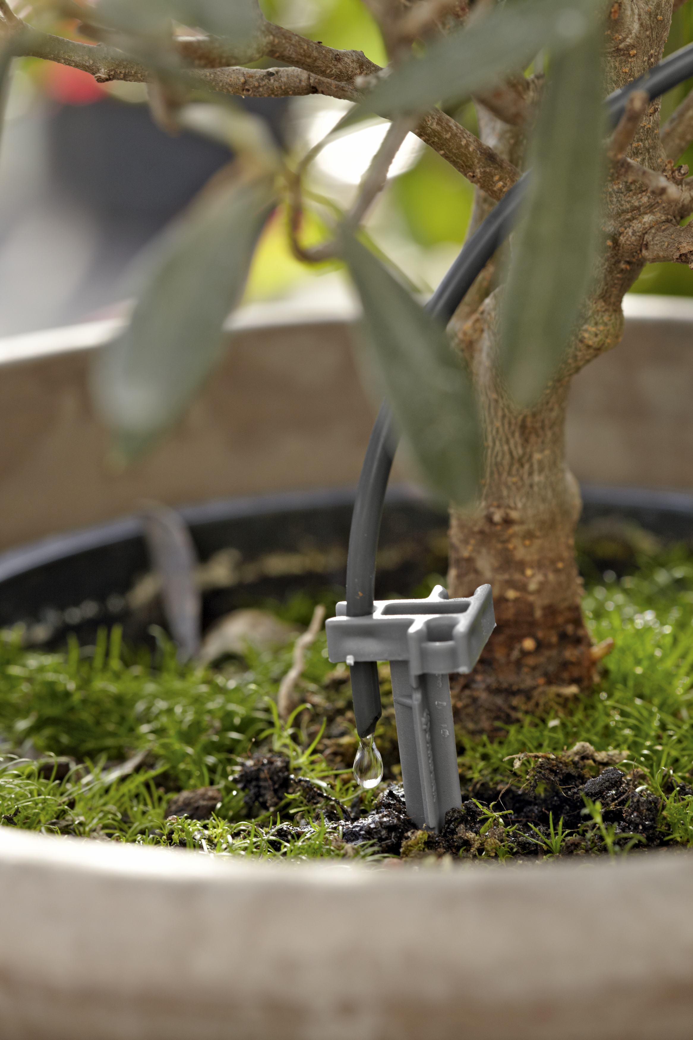 Set pentru udat pe durata concediului + container de 9l