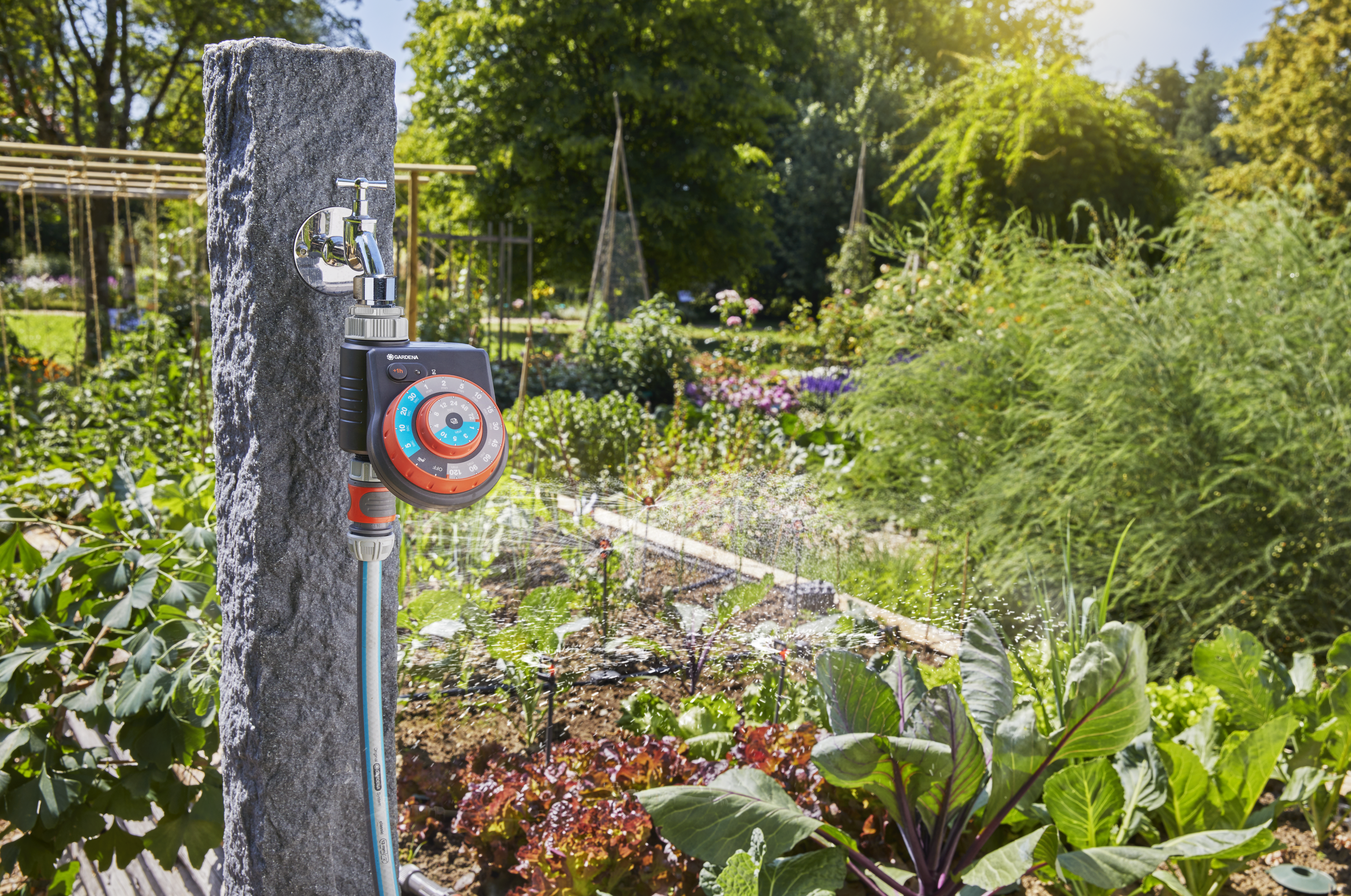 Water Control EasyPlus