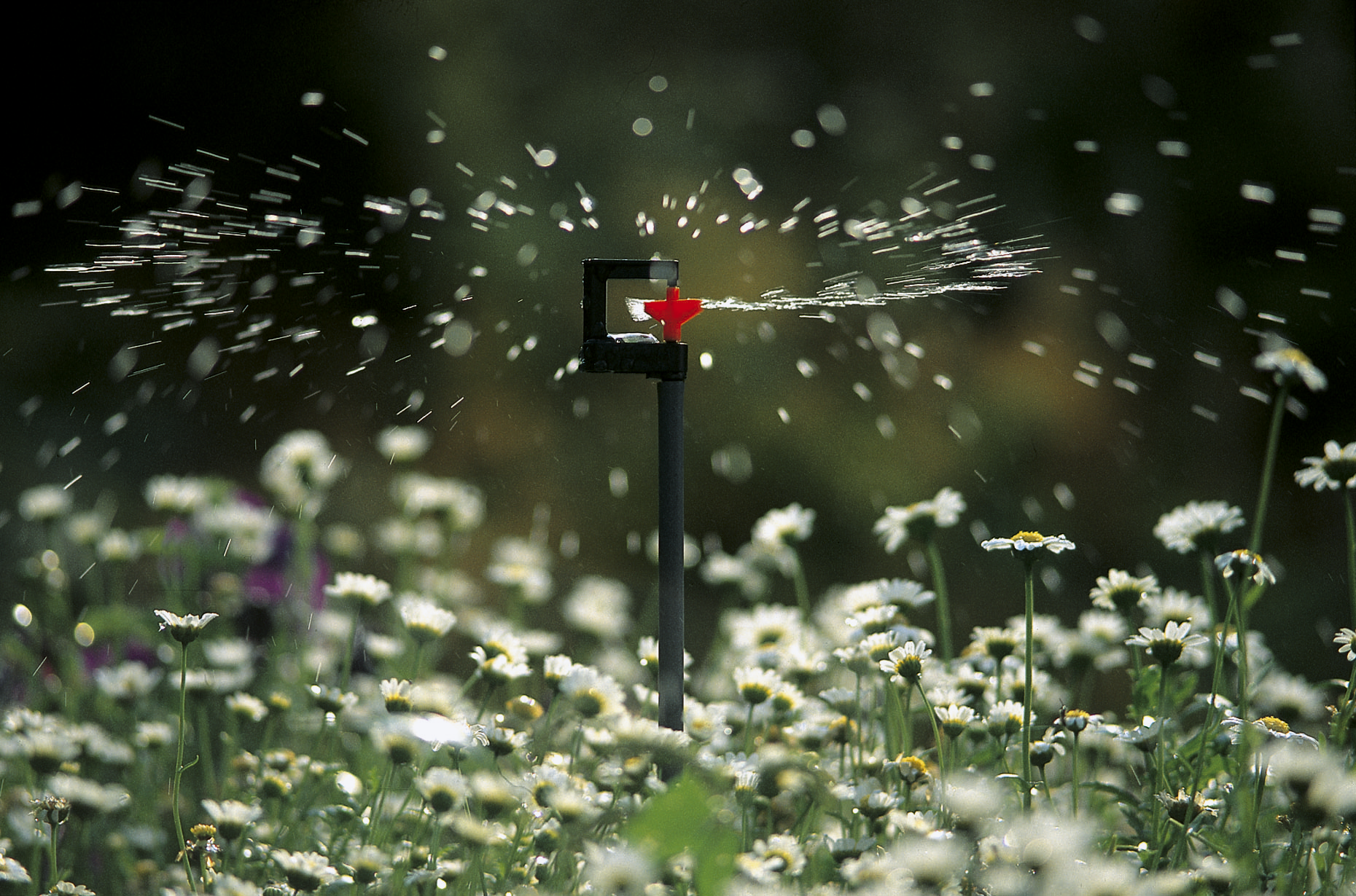 Мікродощувач круговий, упаковка 2шт