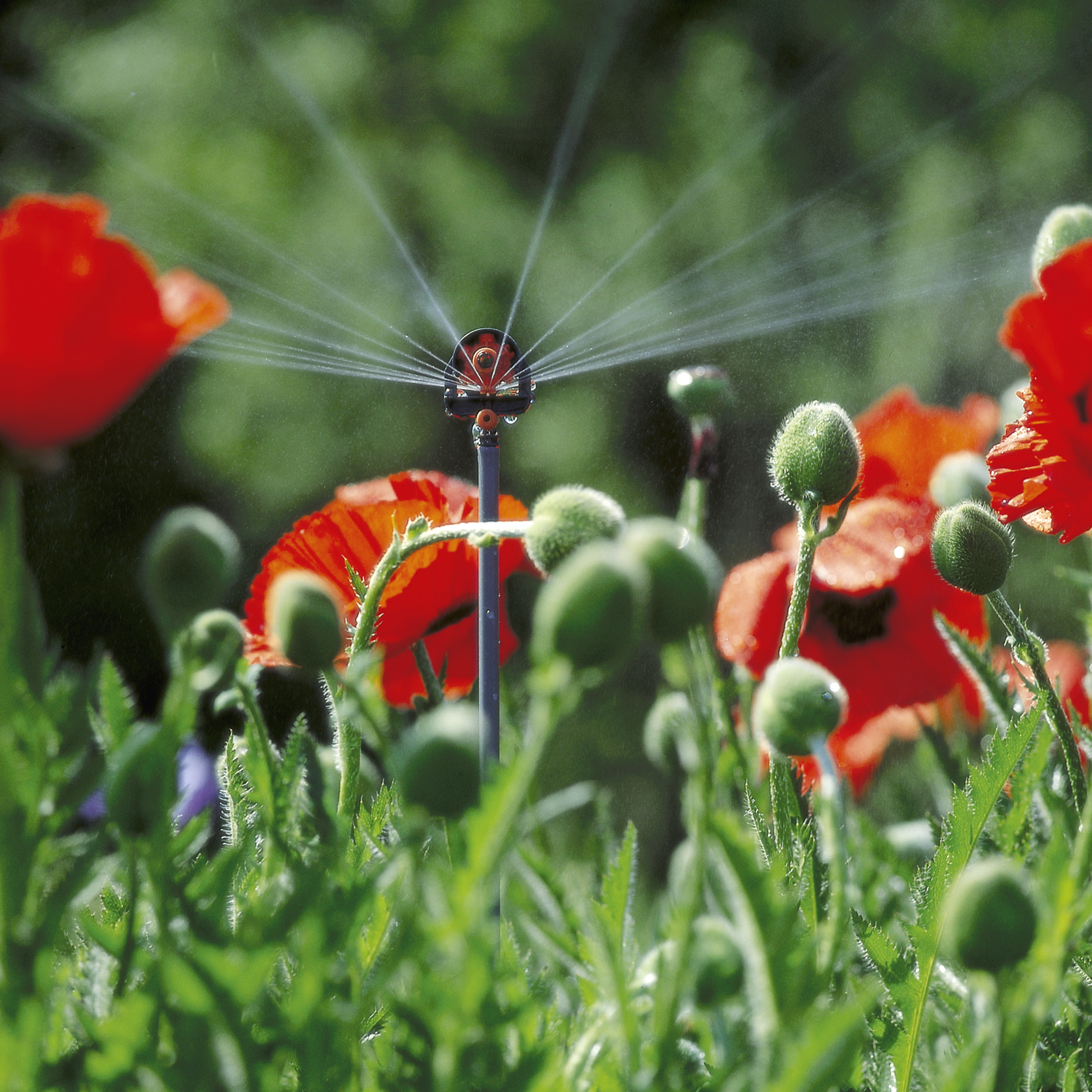 Duză cu 6 modele de pulverizare