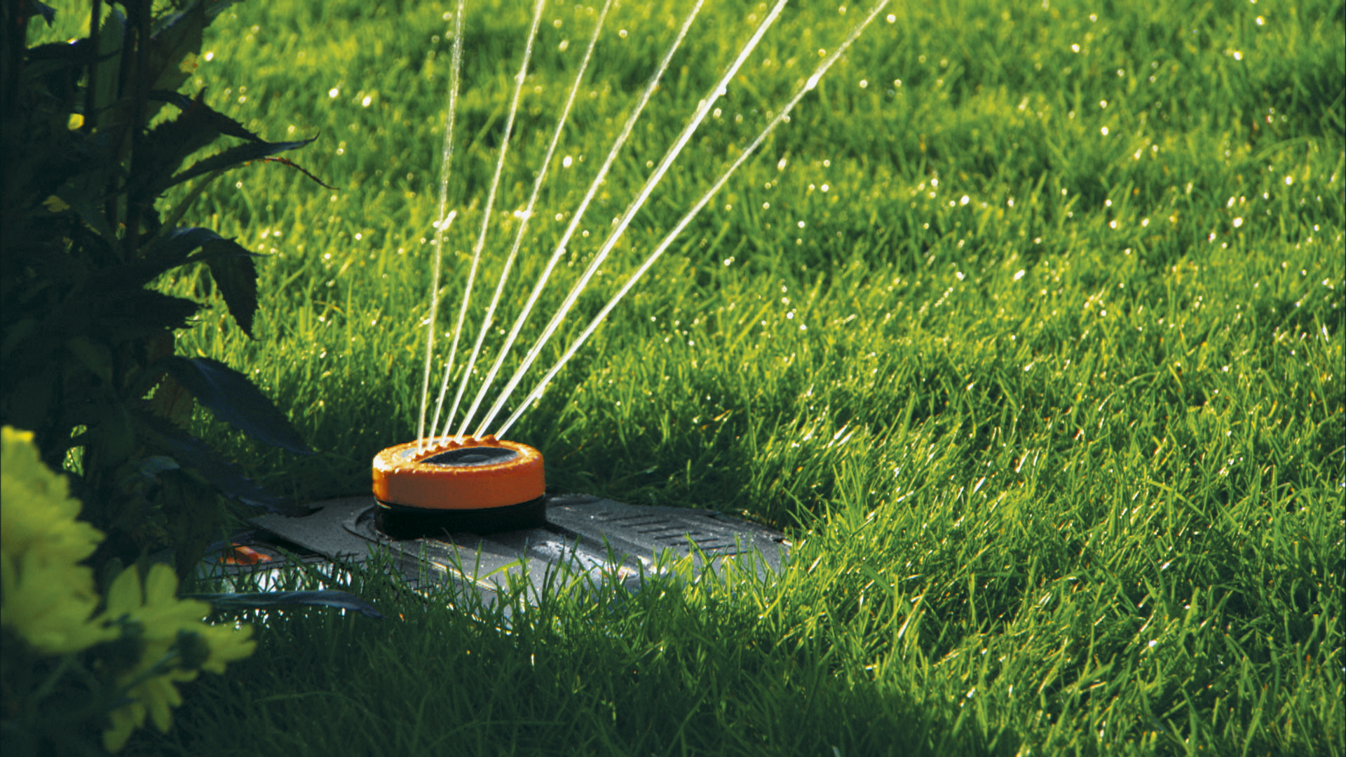 Set complet cu aspersor AquaContour automat