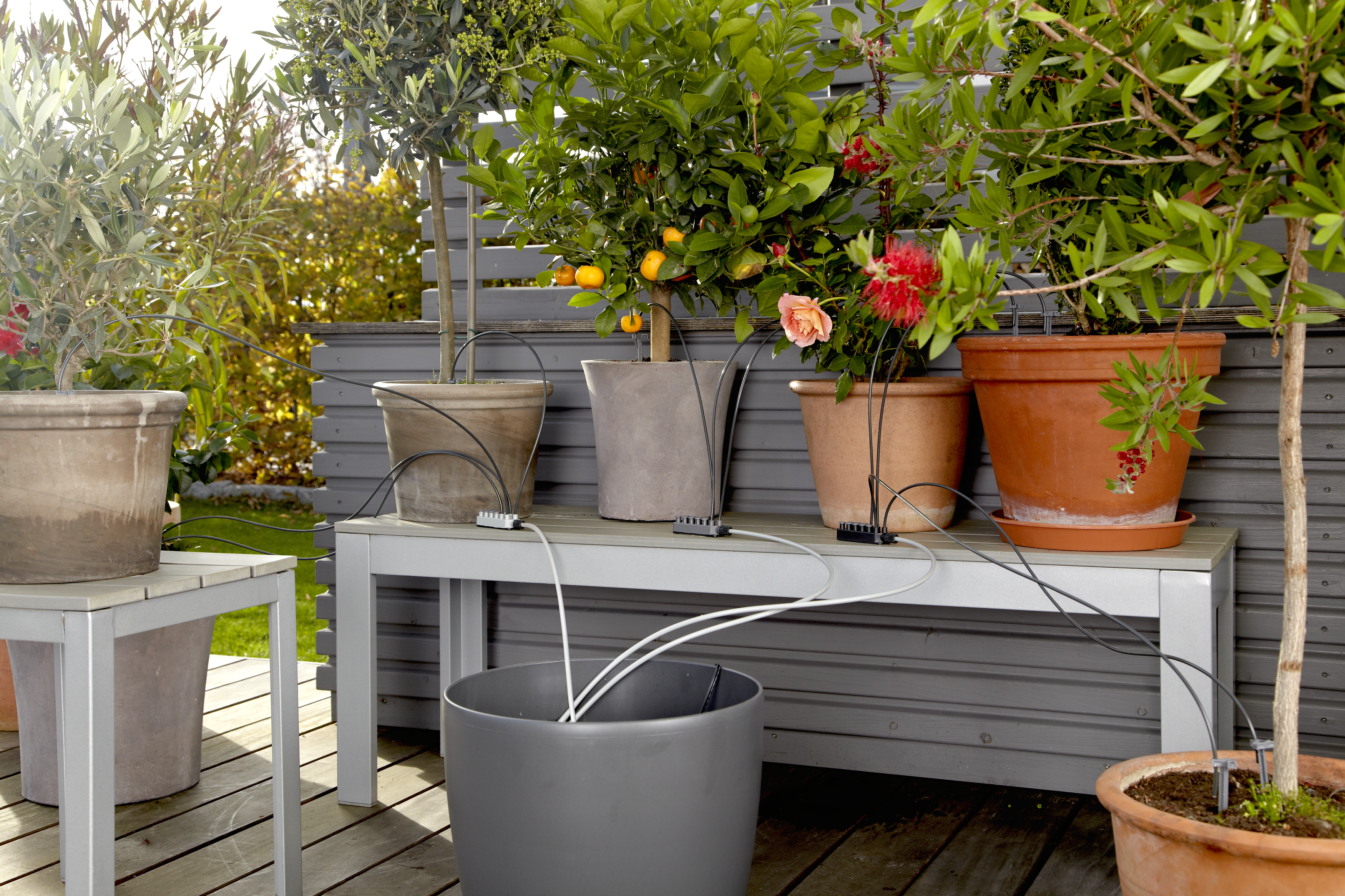 Arrosage des plantes en votre absence