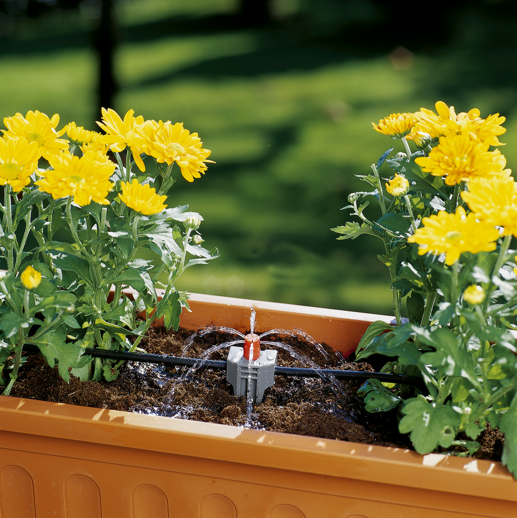 Duze pentru arii restr&acirc;nse