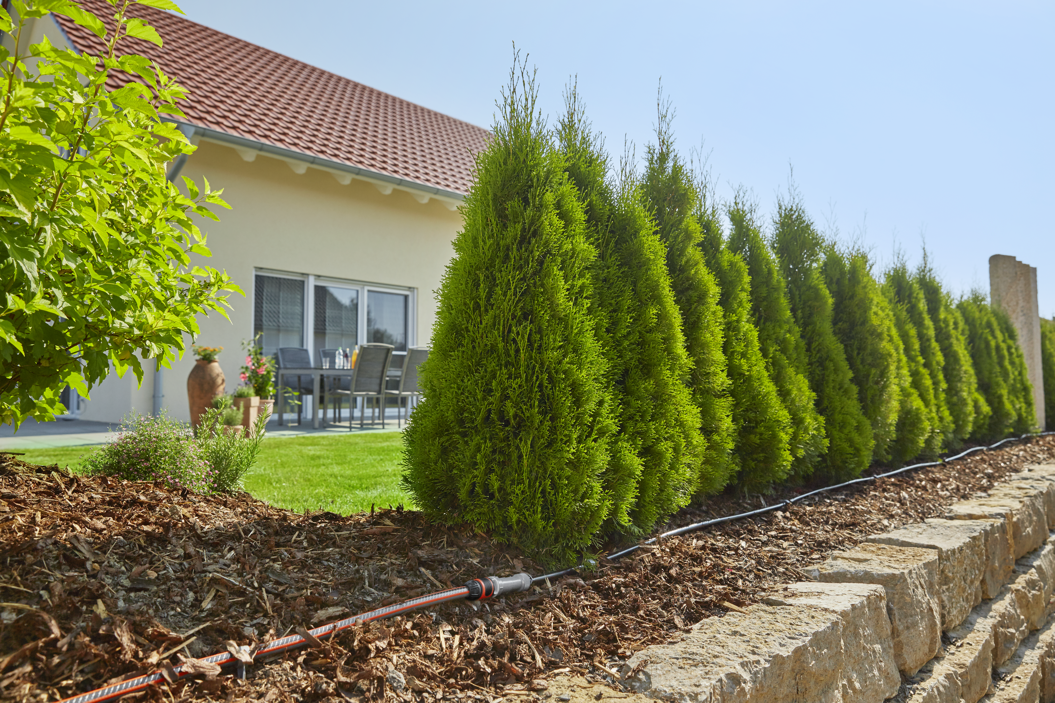 Pradinis rinkinys augalų eilėms L