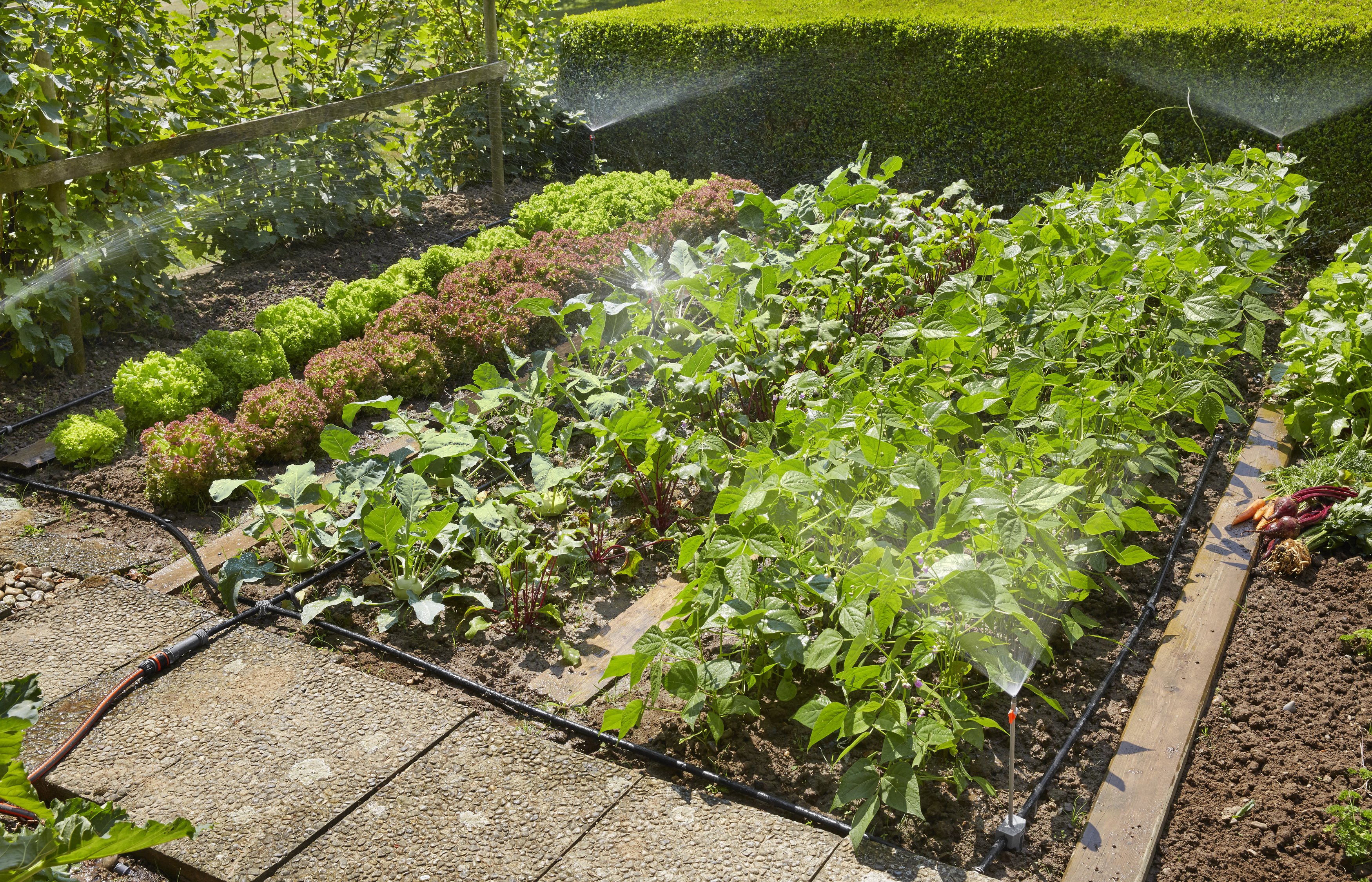 Набір мікрокрапельного поливу площею 40м.кв.