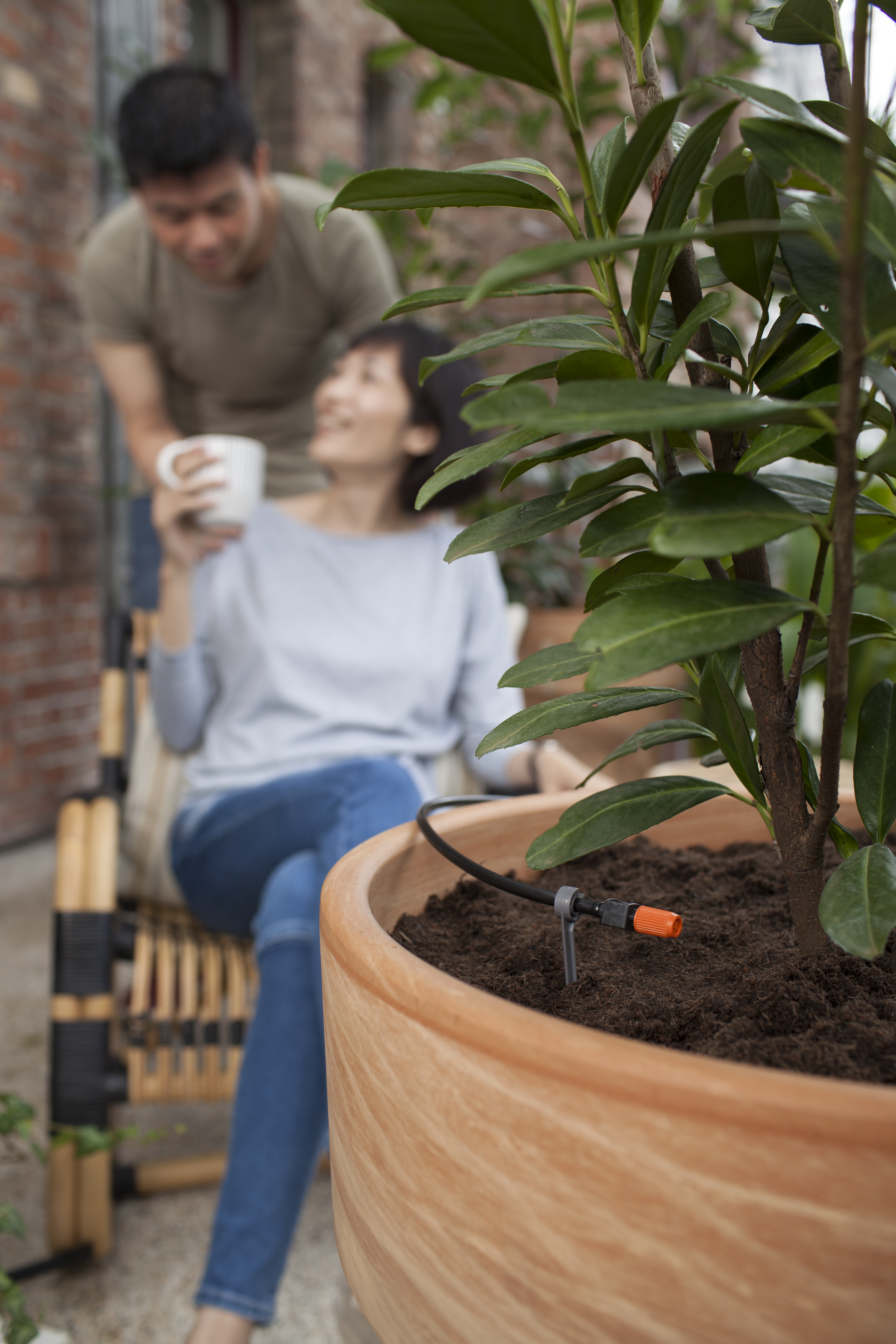 Starta komplekts puķu podiem M