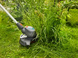 植物保護