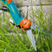 Comfort Grass Shears, rotatable