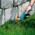 Comfort Grass Shears, rotatable