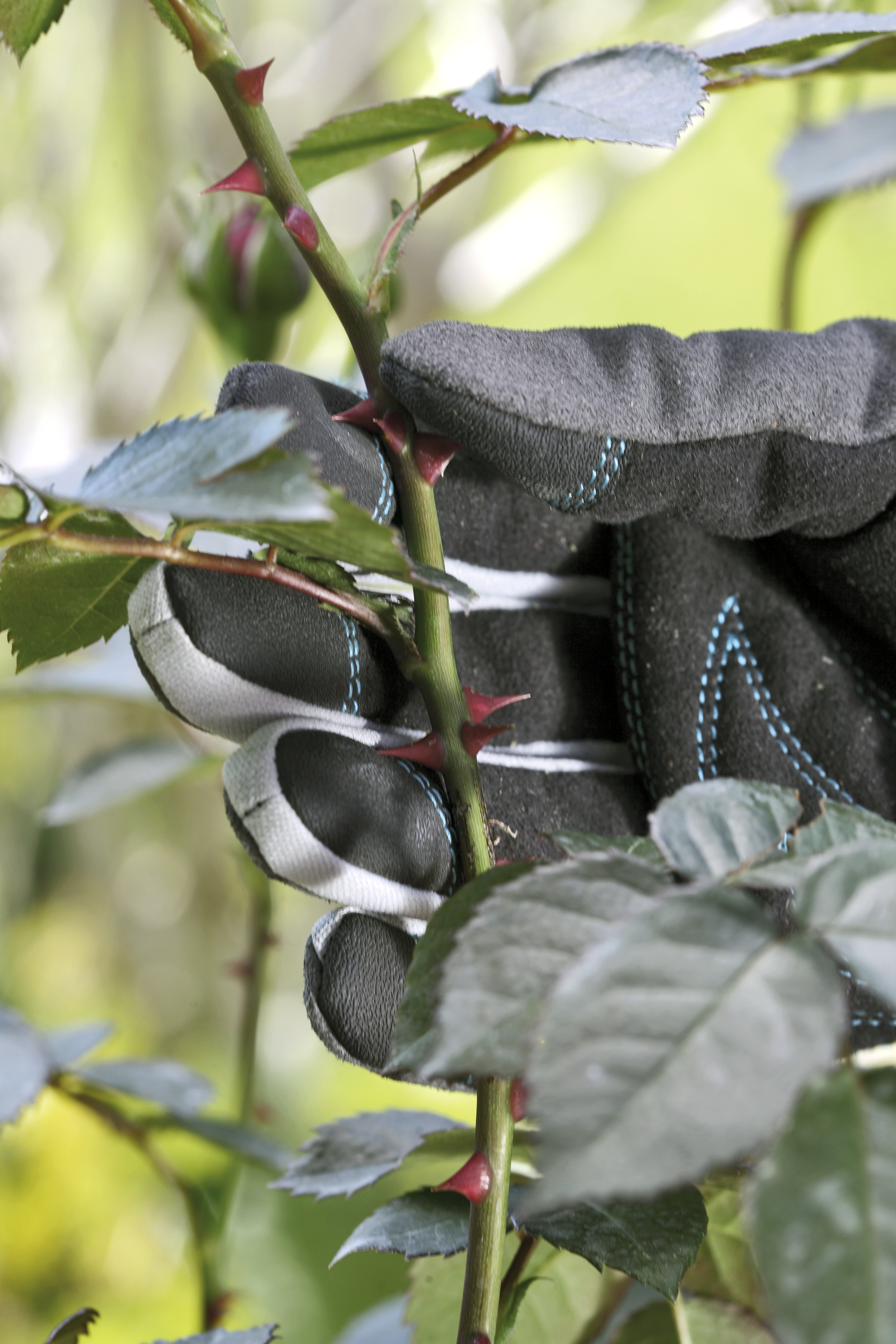 &Gamma;&Alpha;&Nu;&Tau;&Iota;&Alpha; &Pi;&Rho;&Omicron;&Sigma;&Tau;&Alpha;&Sigma;&Iota;&Alpha;&Sigma; L