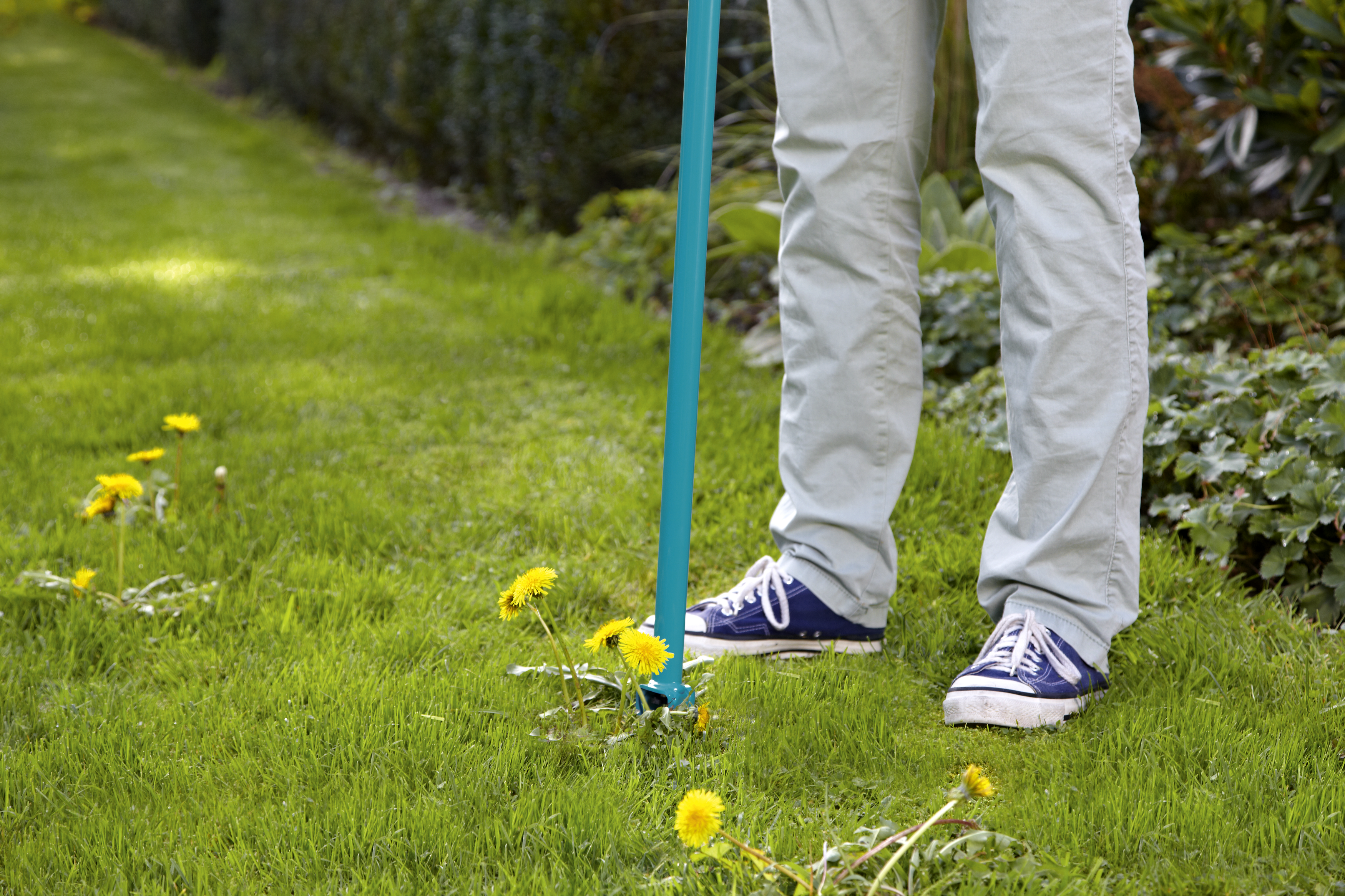 Dispozitiv de scos buruieni