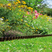 Bed Edging (Brown)