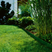 Lawn Edging (Green)