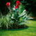 Lawn Edging (Green)