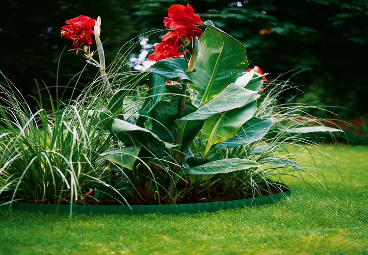 Lawn Edging (Green)