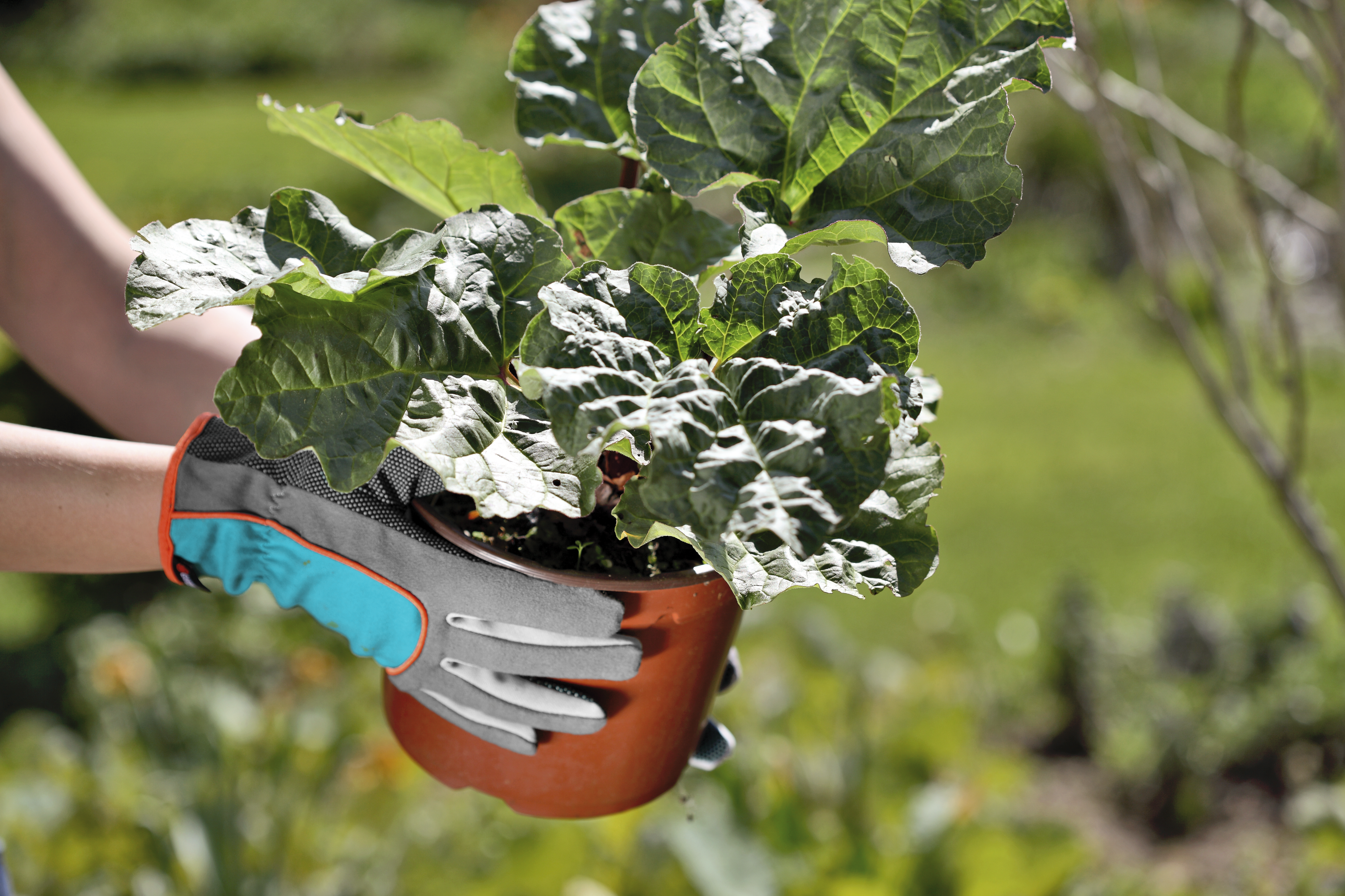 Mănuși de plantat 6/XS