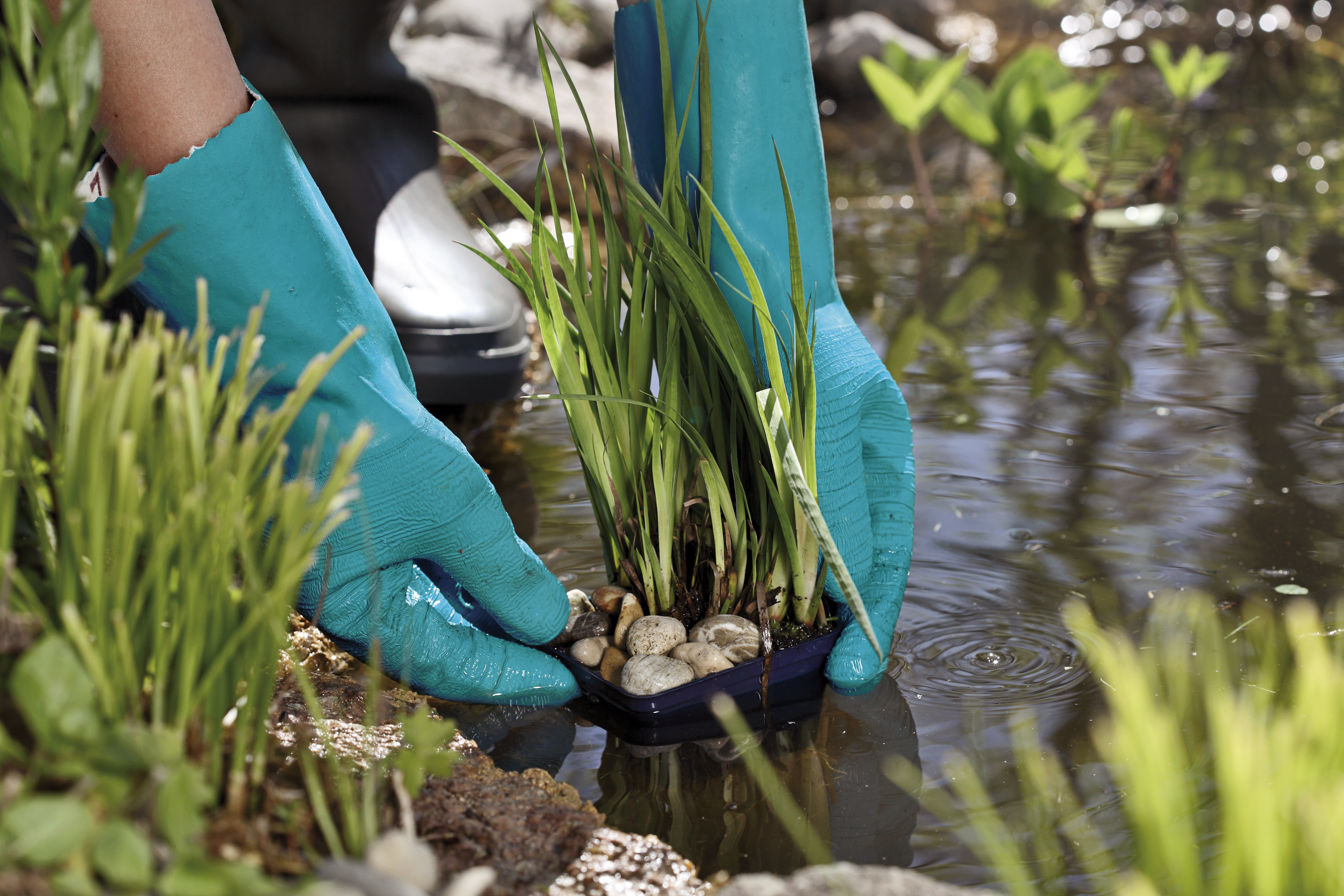 &Gamma;&Alpha;&Nu;&Tau;&Iota;&Alpha; &Alpha;&Delta;&Iota;&Alpha;&Beta;&Rho;&Omicron;&Chi;&Alpha; L